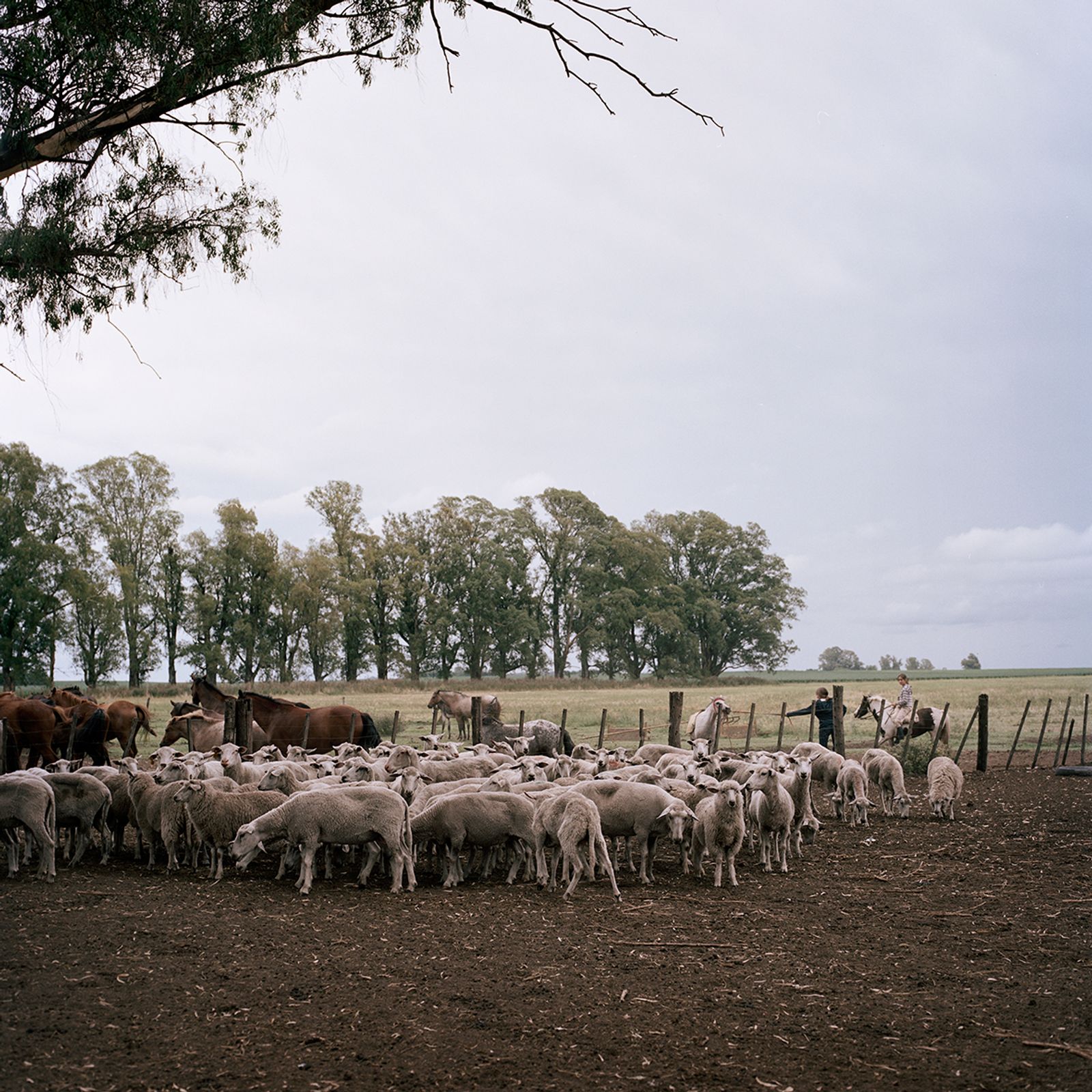 © Jordi Ruiz Cirera - Image from the The United soya republic photography project