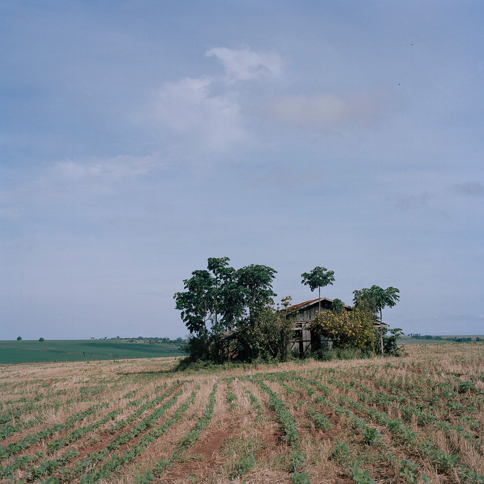 © Jordi Ruiz Cirera - Image from the Paraguay's Land Struggle photography project