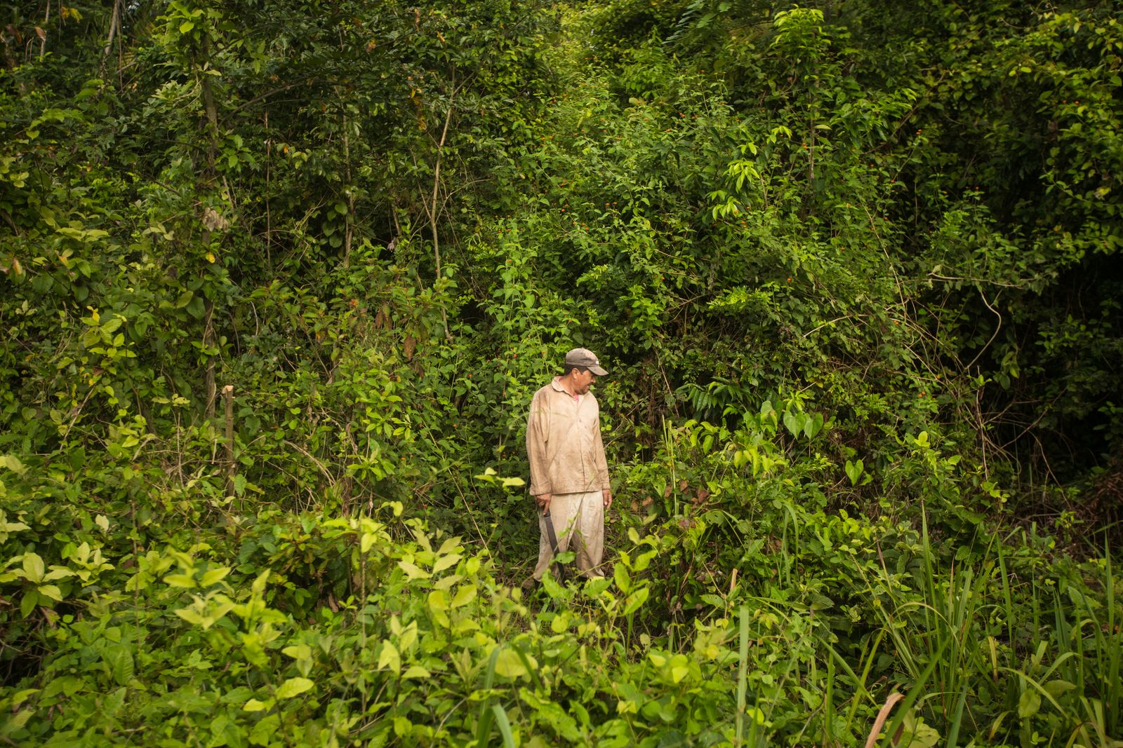 © Danny Alveal Aravena - Image from the Guatemala: in the home of the former guerrillas photography project