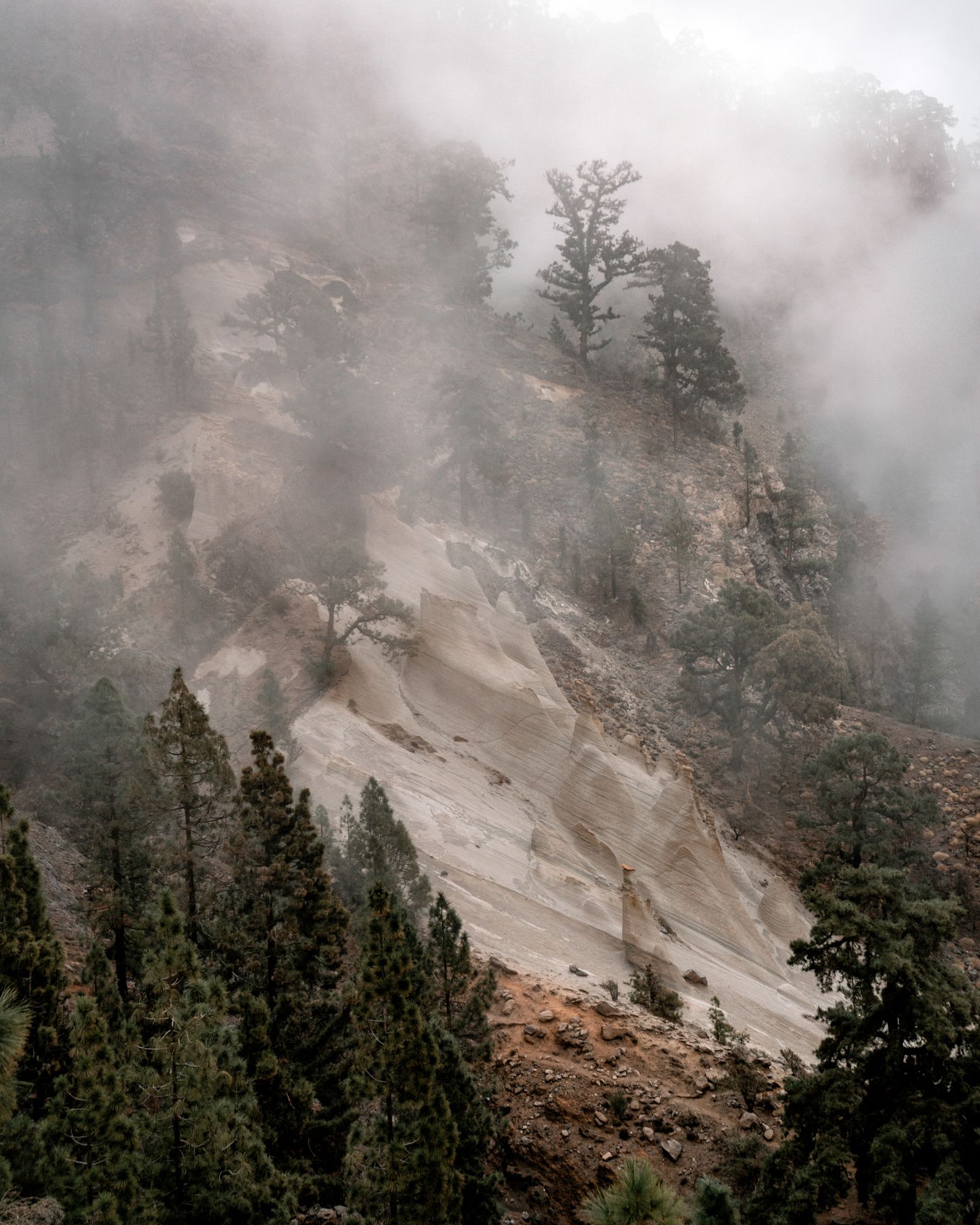 © Zsuzsa Darab - Image from the Thirtysomething photography project