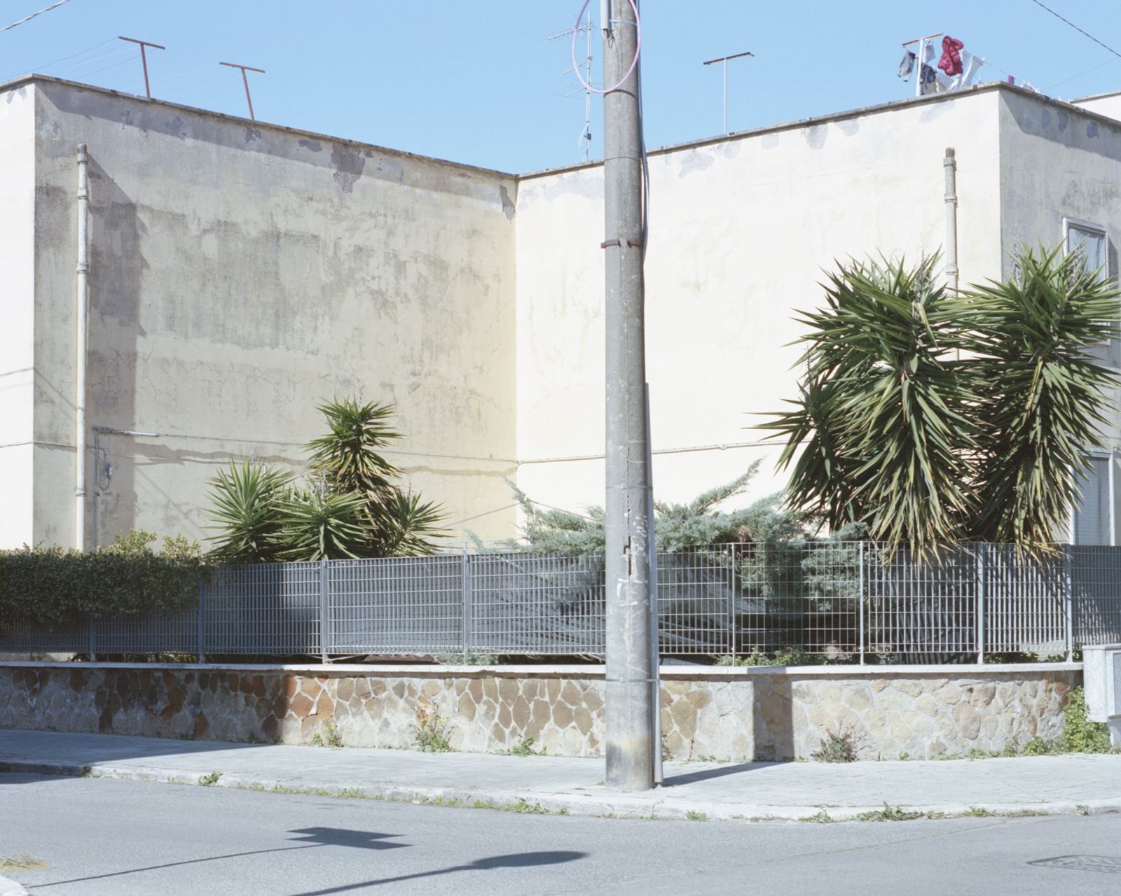 © Wiktoria Wojciechowska - Sabaudia, Lazio, Italy.