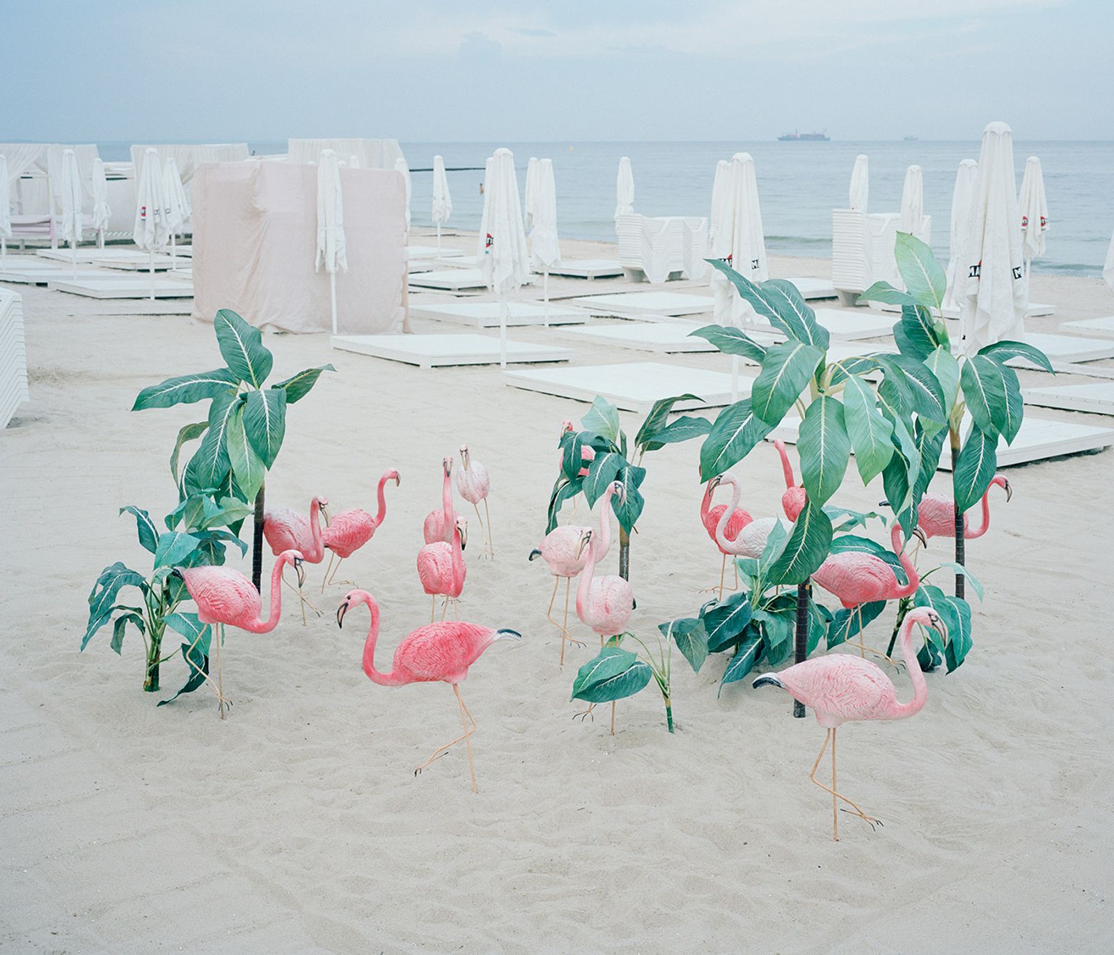 © Michal Solarski - Plastic flamingos on the Primorskoye Beach in Odessa, Ukraine.