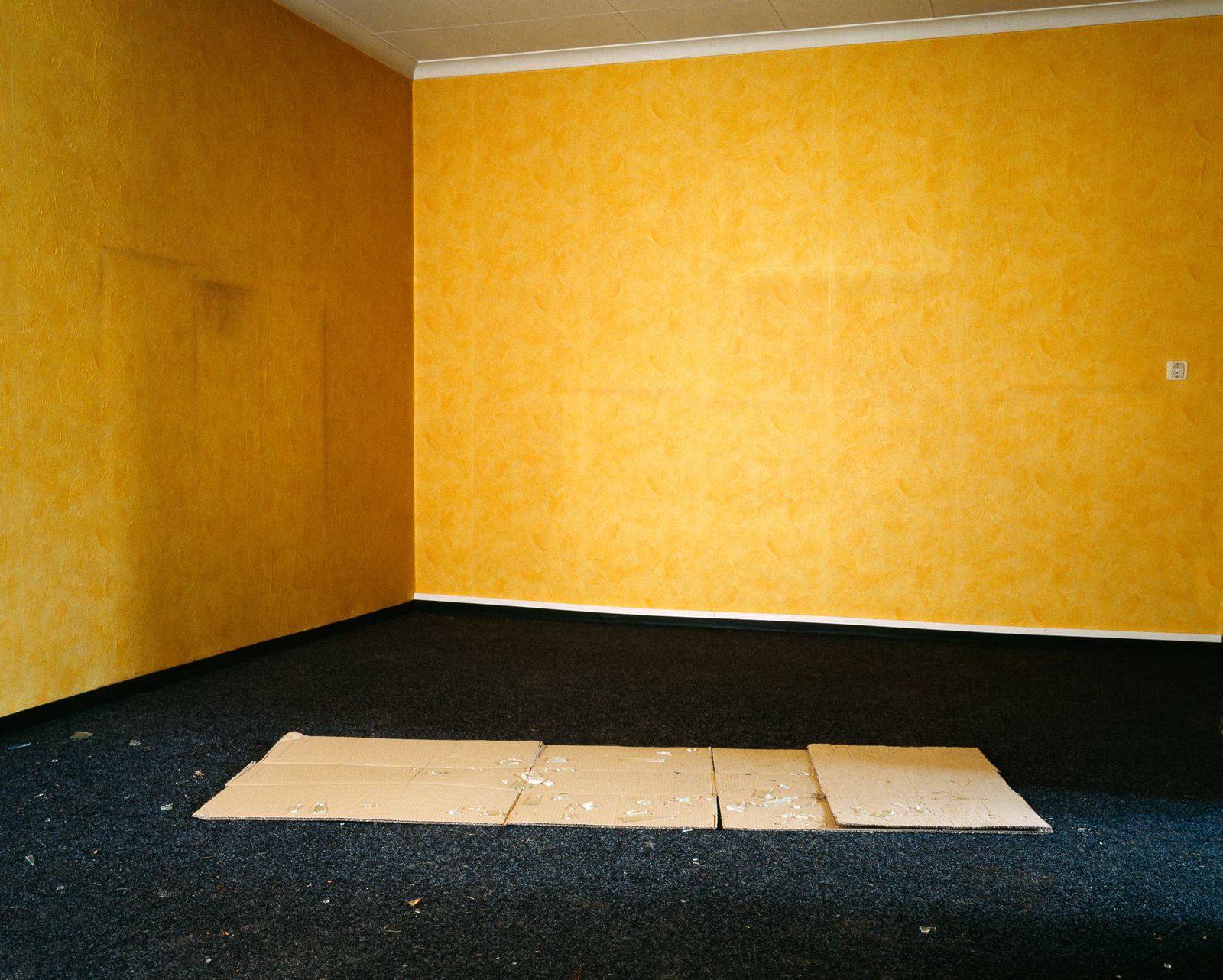 © Isabelle Pateer - Abandoned interior of a house in the village of Doel