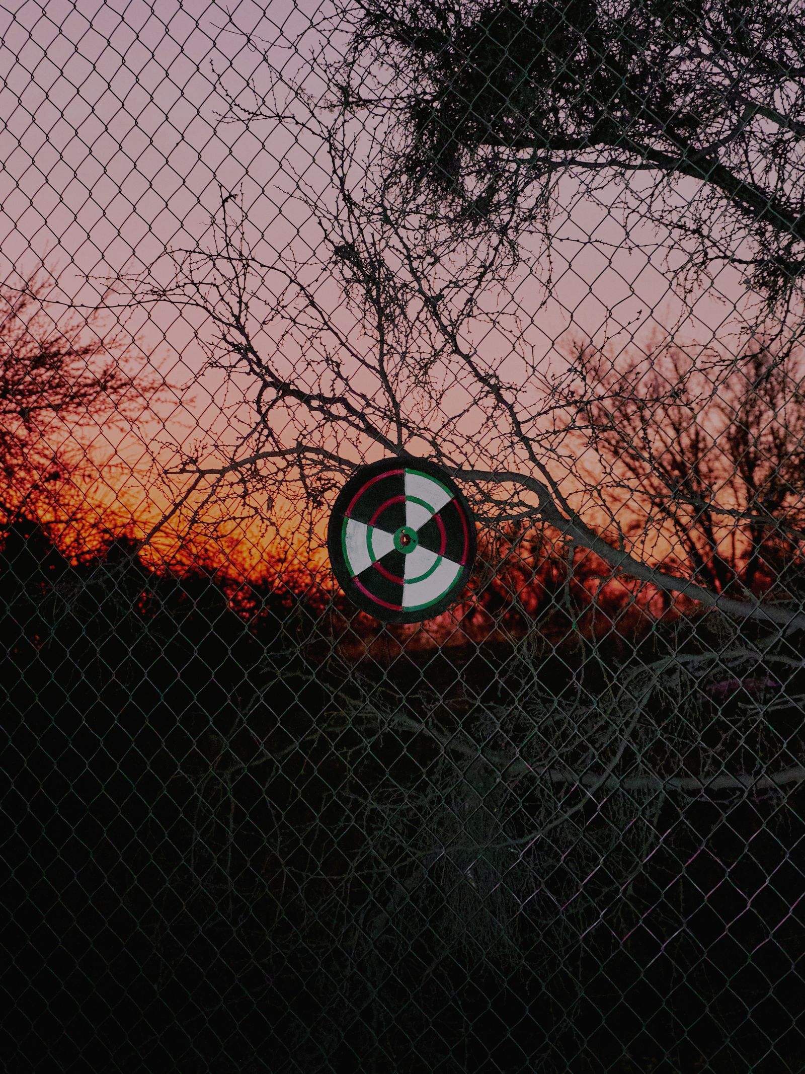© Álvaro Muñoz - Image from the The Unknown Seasons photography project
