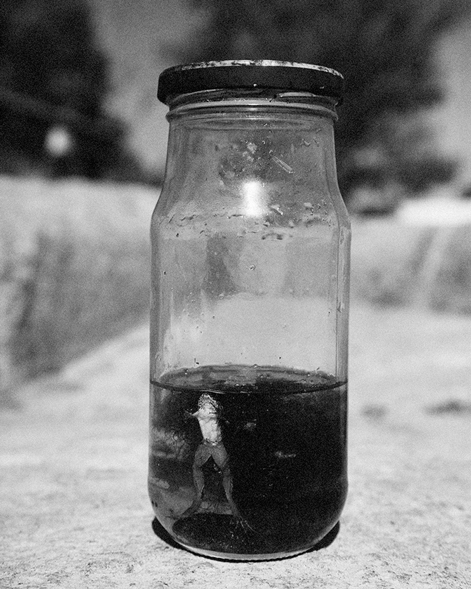 © Nathalie Mohadjer - frog in glass