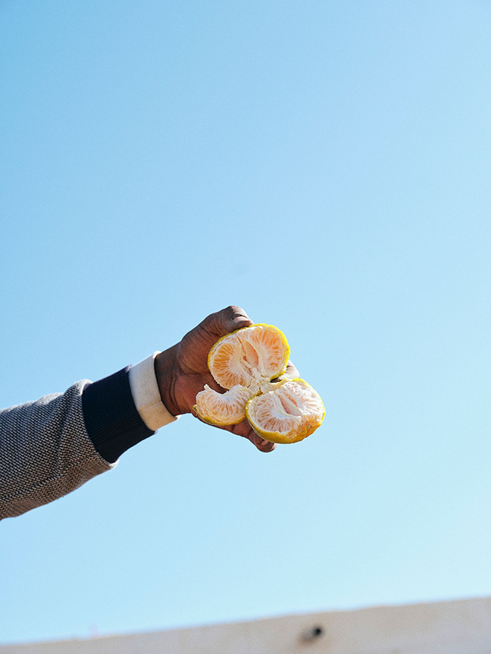 © Nathalie Mohadjer - Oranges in a man's hand