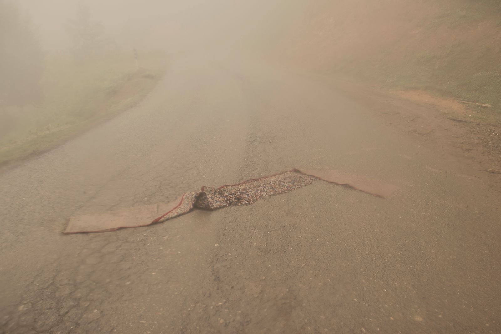 © Sana Ahmadizadeh - " Iranian carpet", A piece of Iranian carpet has disappeared in the fog after rain. (Gilan Province, North of Iran, 2018)