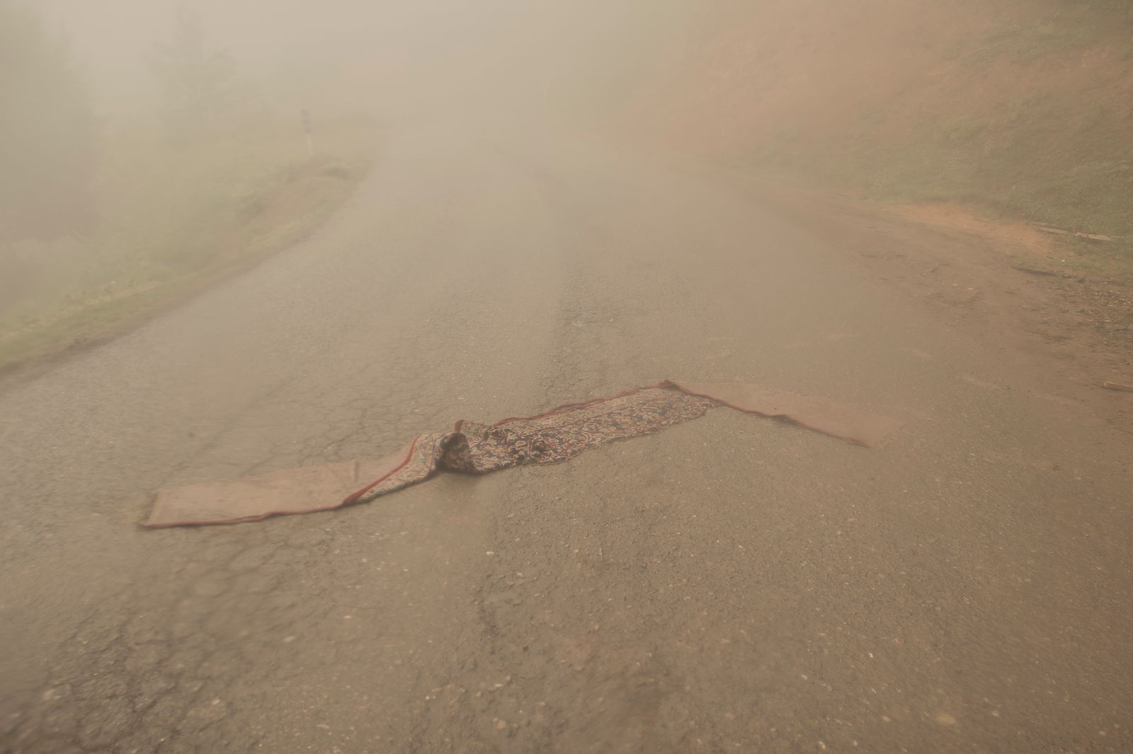 © Sana Ahmadizadeh - " Iranian carpet", A piece of Iranian carpet has disappeared in the fog after rain. (Gilan Province, North of Iran, 2018)