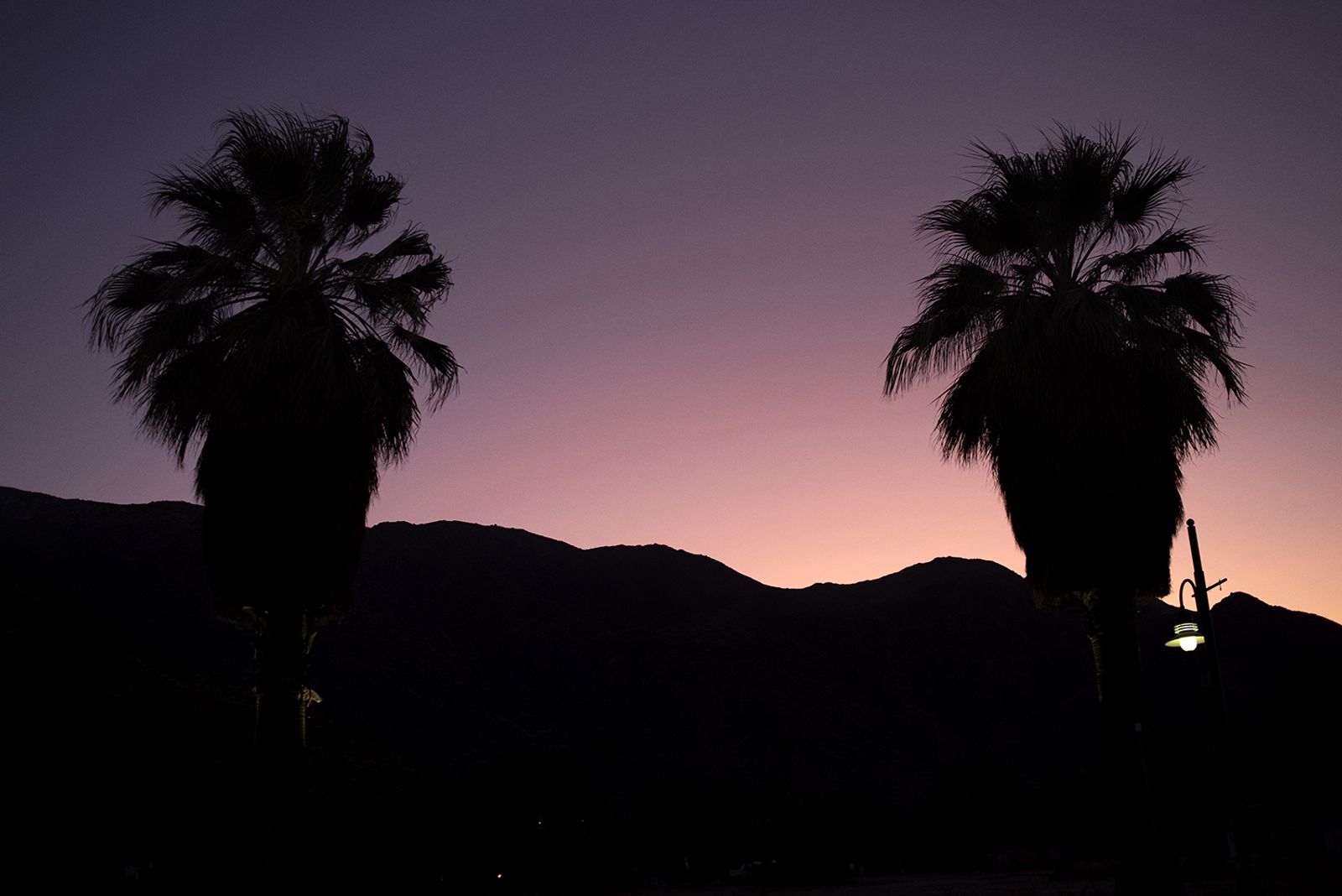 © Daria Addabbo - Palm Springs, California. August 2019