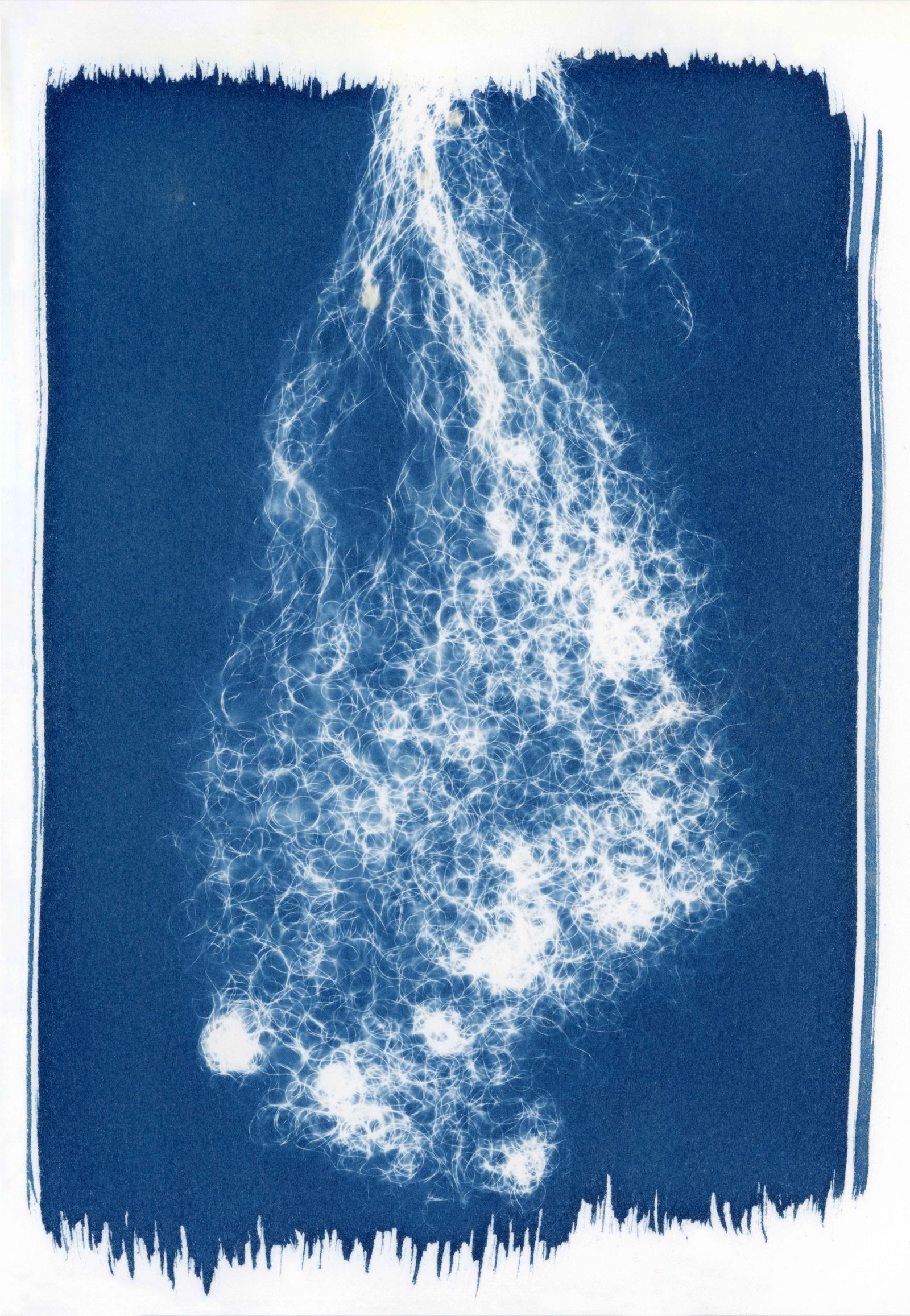 © Melanie Issaka - Blue Magic 2, Cyanotype on Somerset paper, 20x12cm, 2021