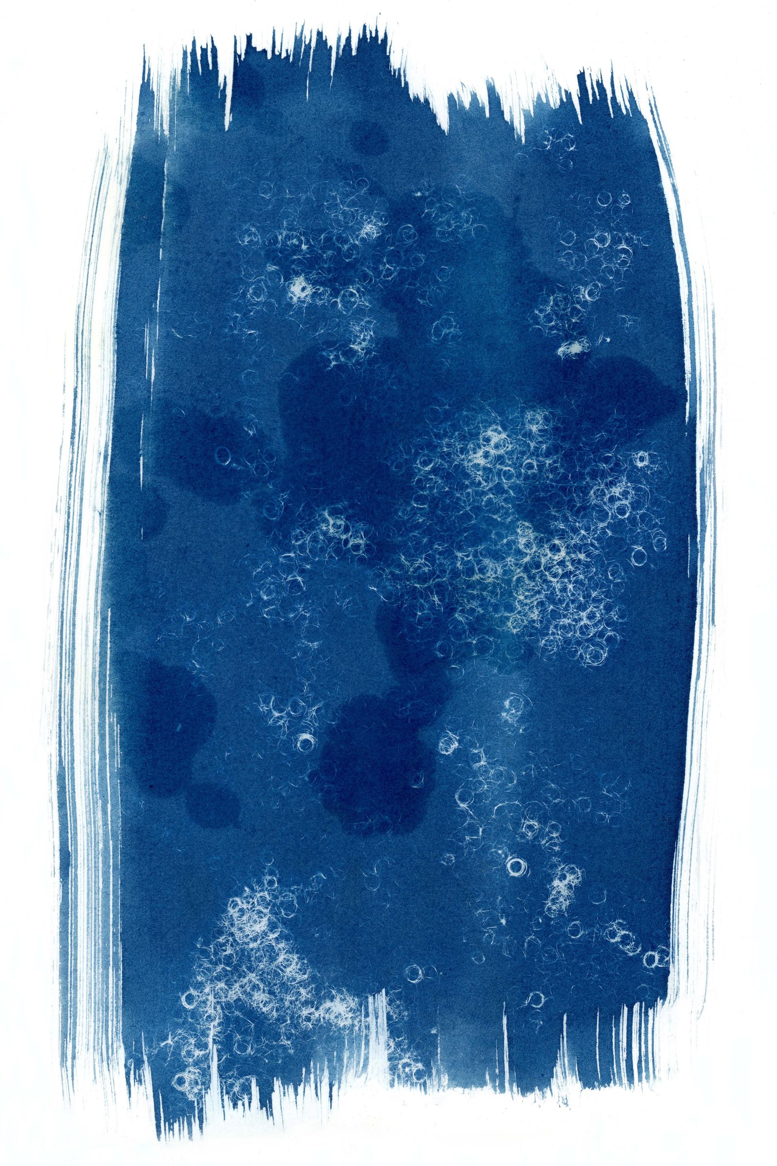 © Melanie Issaka - Blue Magic 1, Cyanotype on Somerset paper, 30x12cm, 2021