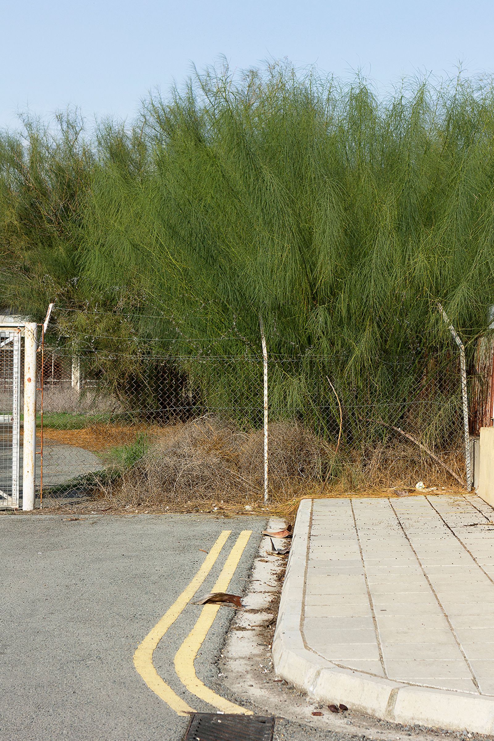 © Ekaterina Bodyagina - A fence next to the Green Line between Southern and Northern Cyprus in Nicosia