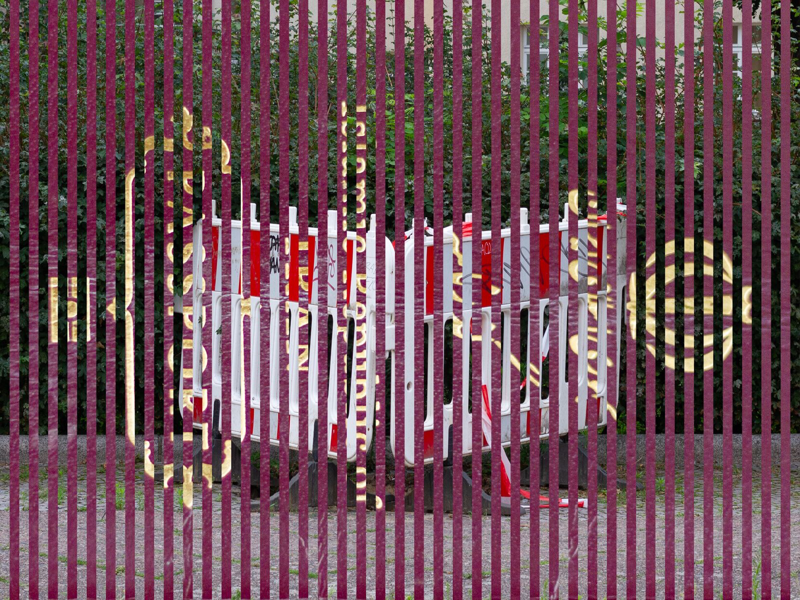 © Farzin Foroutan - Image from the Interspatial Camouflage photography project