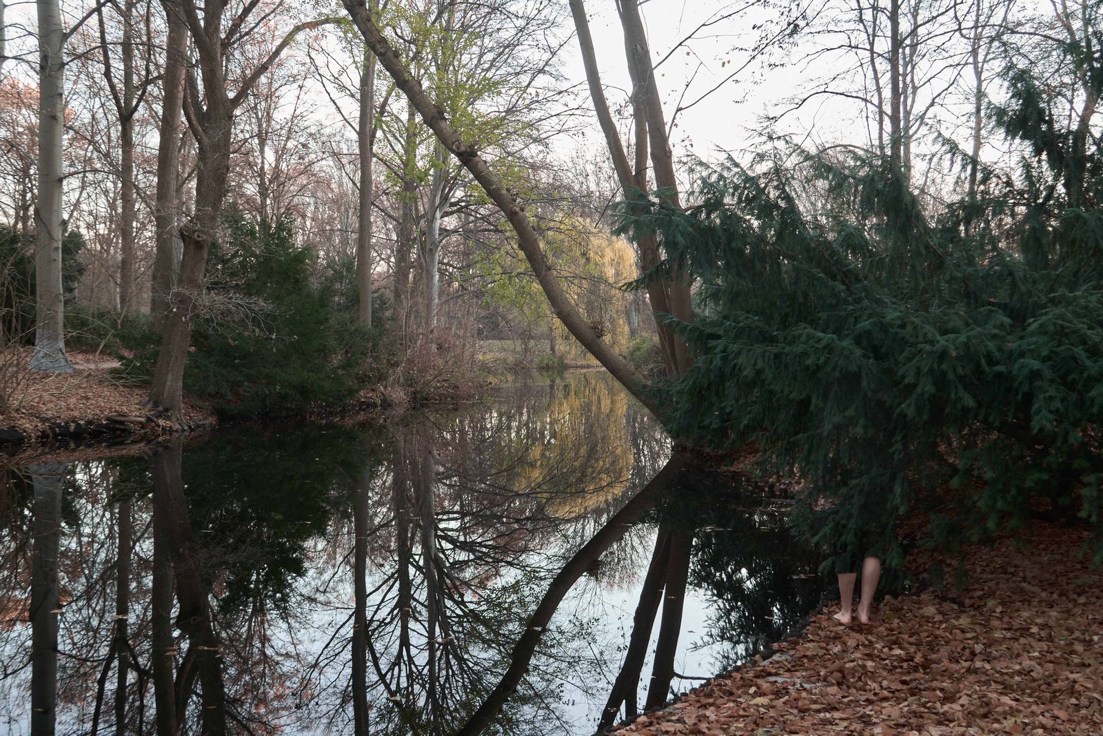 © Farzin Foroutan - Image from the Interspatial Camouflage photography project