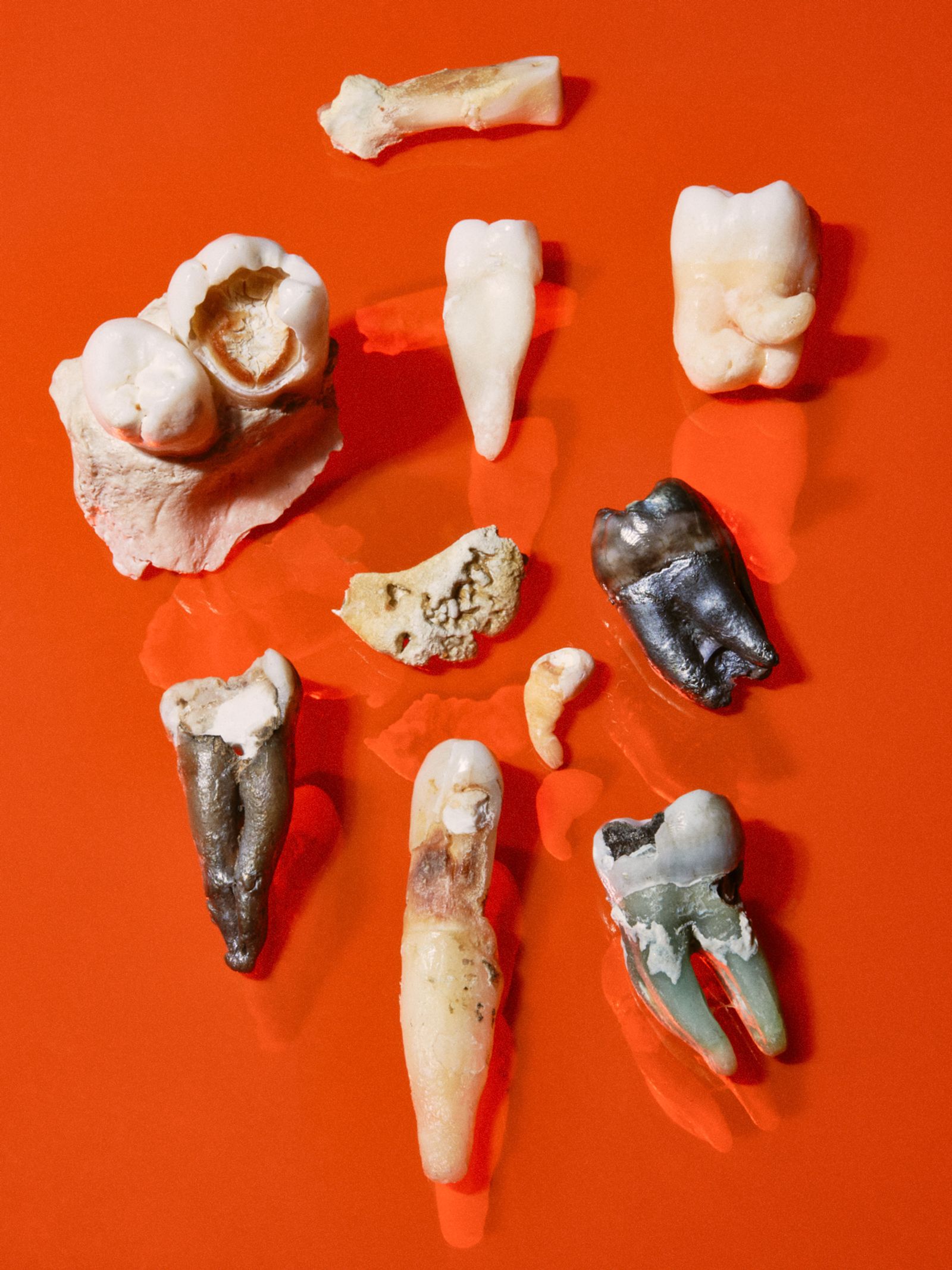 © Caroline Heinecke - © CarolineHeinecke, Masters of Things – Teeth