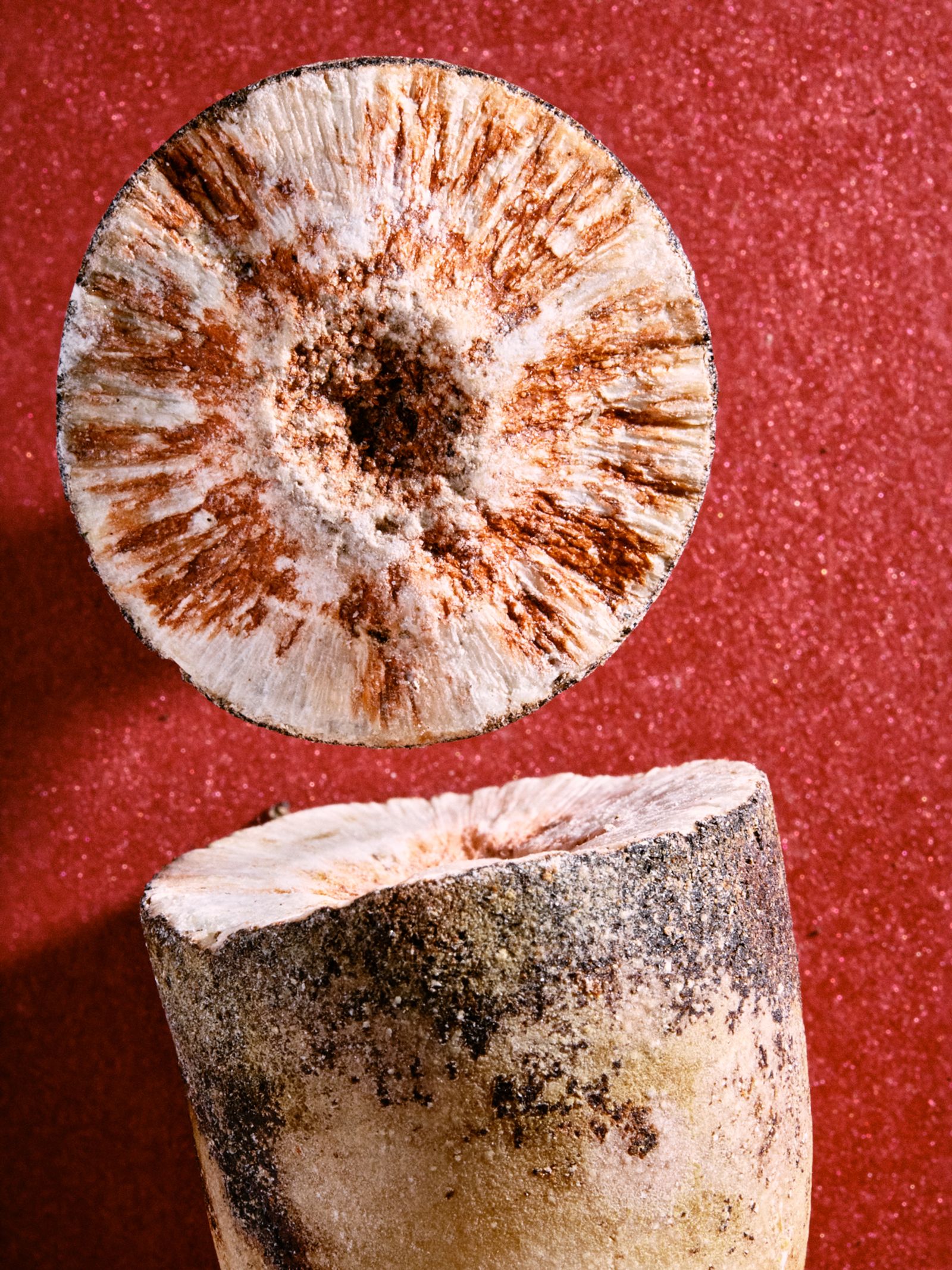 © Caroline Heinecke - © CarolineHeinecke, Masters of Things – Gallstones