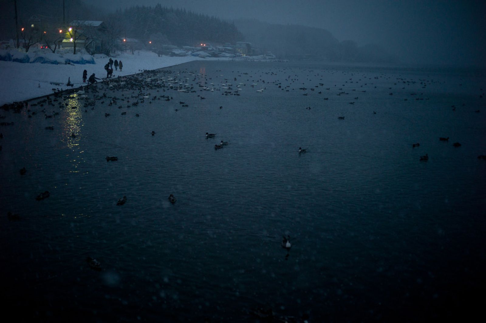 【Somireyu様用】RAIN FELL WITHIN / Refuge Somireyu様用】RAIN FELL WITHIN / Refuge Rain Fell Within