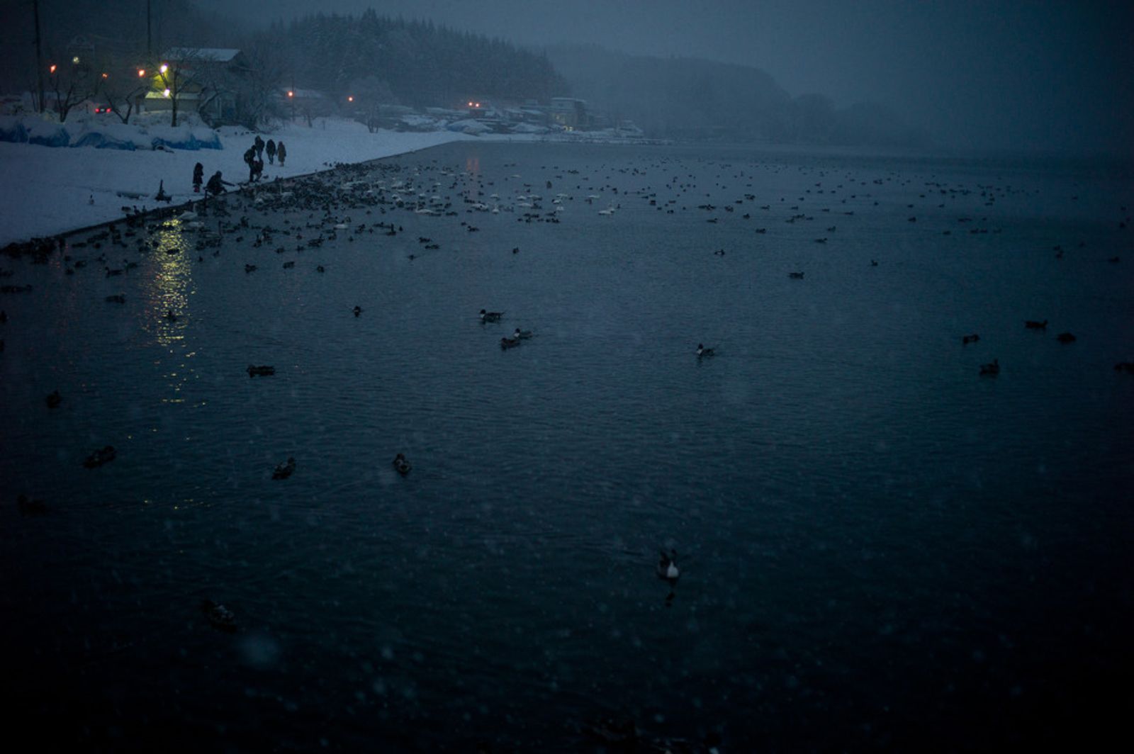 © Soichiro Koriyama - Image from the Fukushima “Black rain” photography project