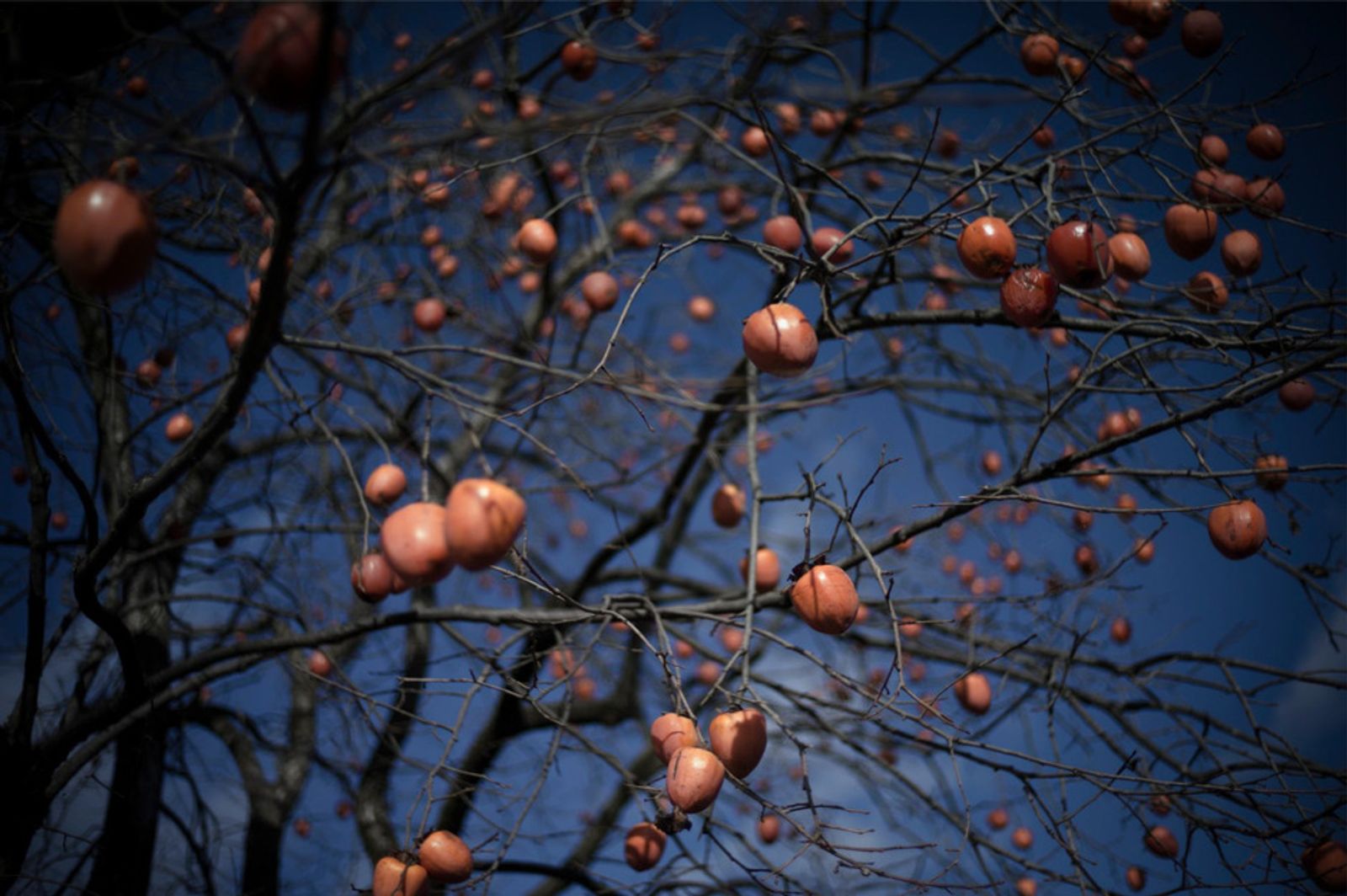 © Soichiro Koriyama - Image from the Fukushima “Black rain” photography project