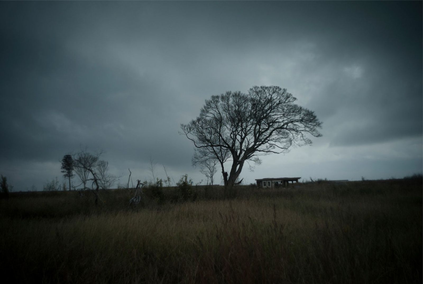 © Soichiro Koriyama - Image from the Fukushima “Black rain” photography project