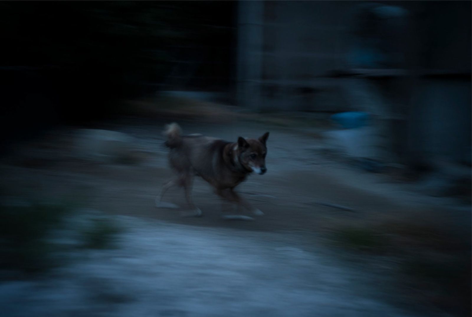 © Soichiro Koriyama - Image from the Fukushima “Black rain” photography project