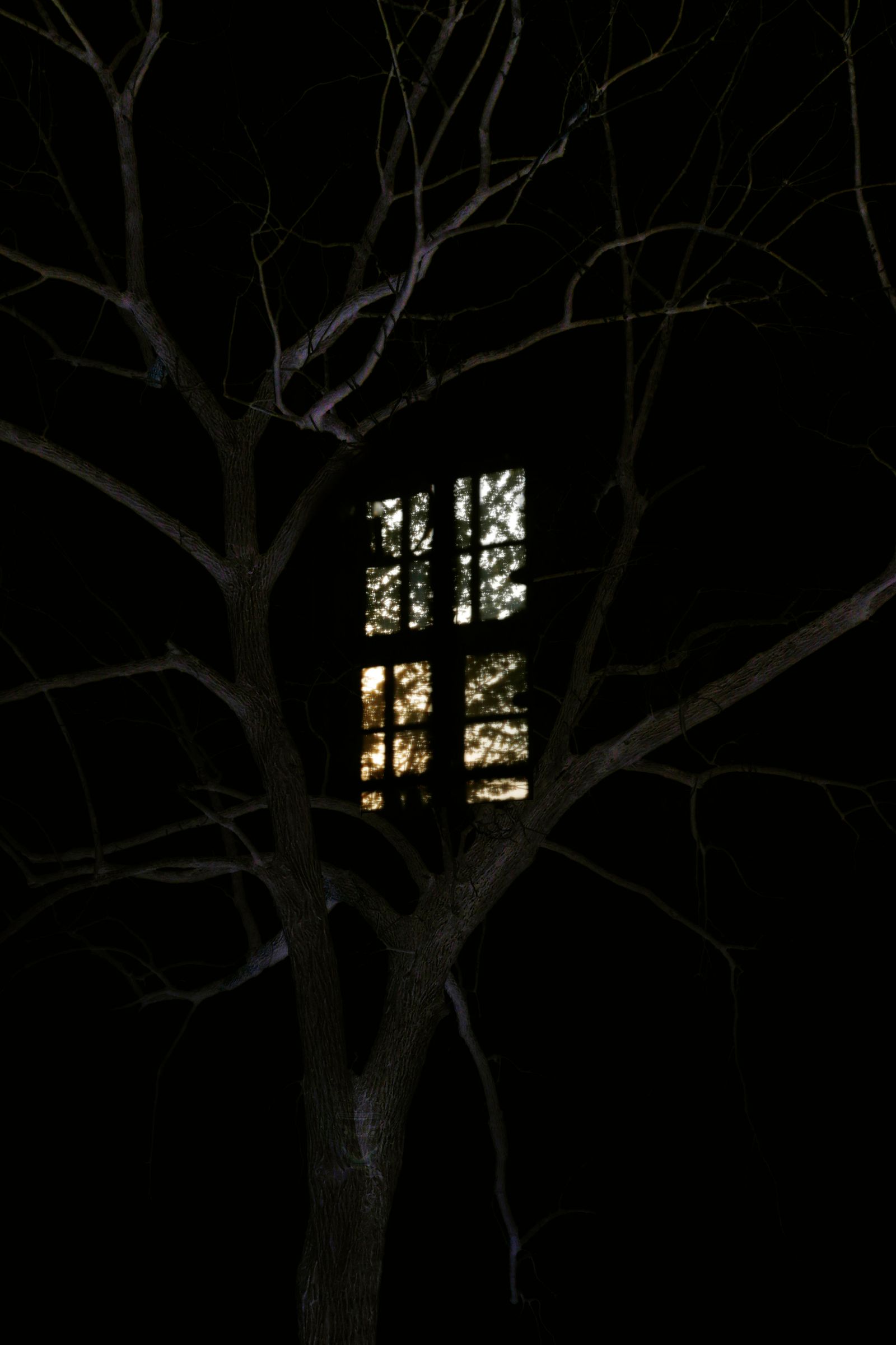 © Nasrah Omar - Image from the Phantasms of the Blue Sky photography project