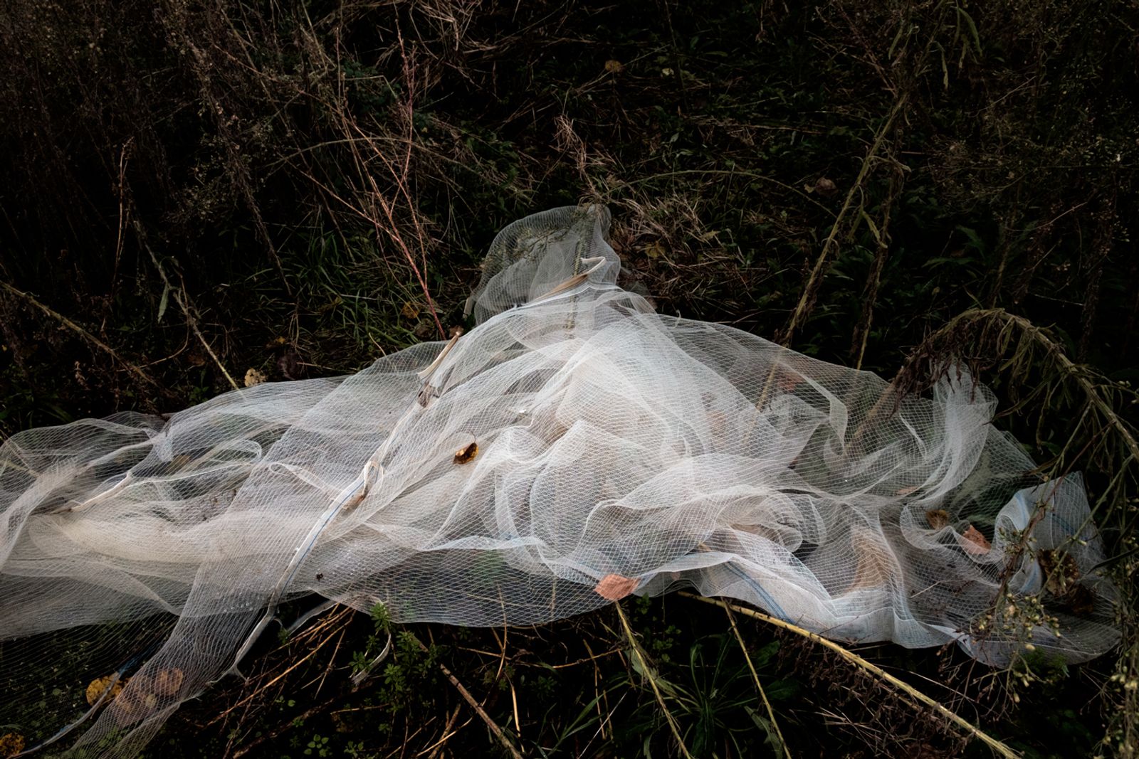 © Claire Power - A net to protect fruit trees from hail lies on the ground after being used