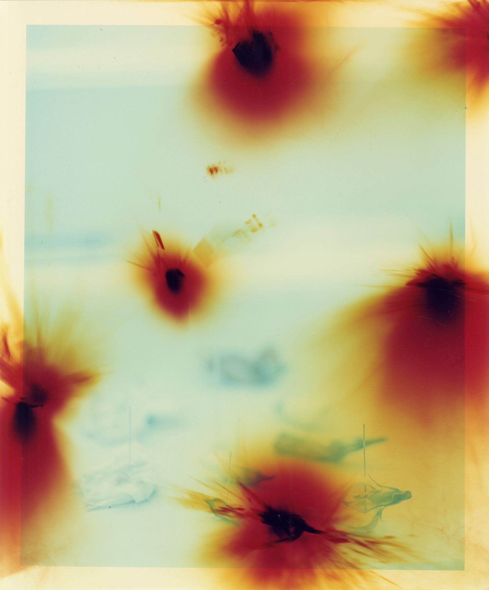 © Bowei Yang - Flower petals pinned on the window, color darkroom print, 2019.