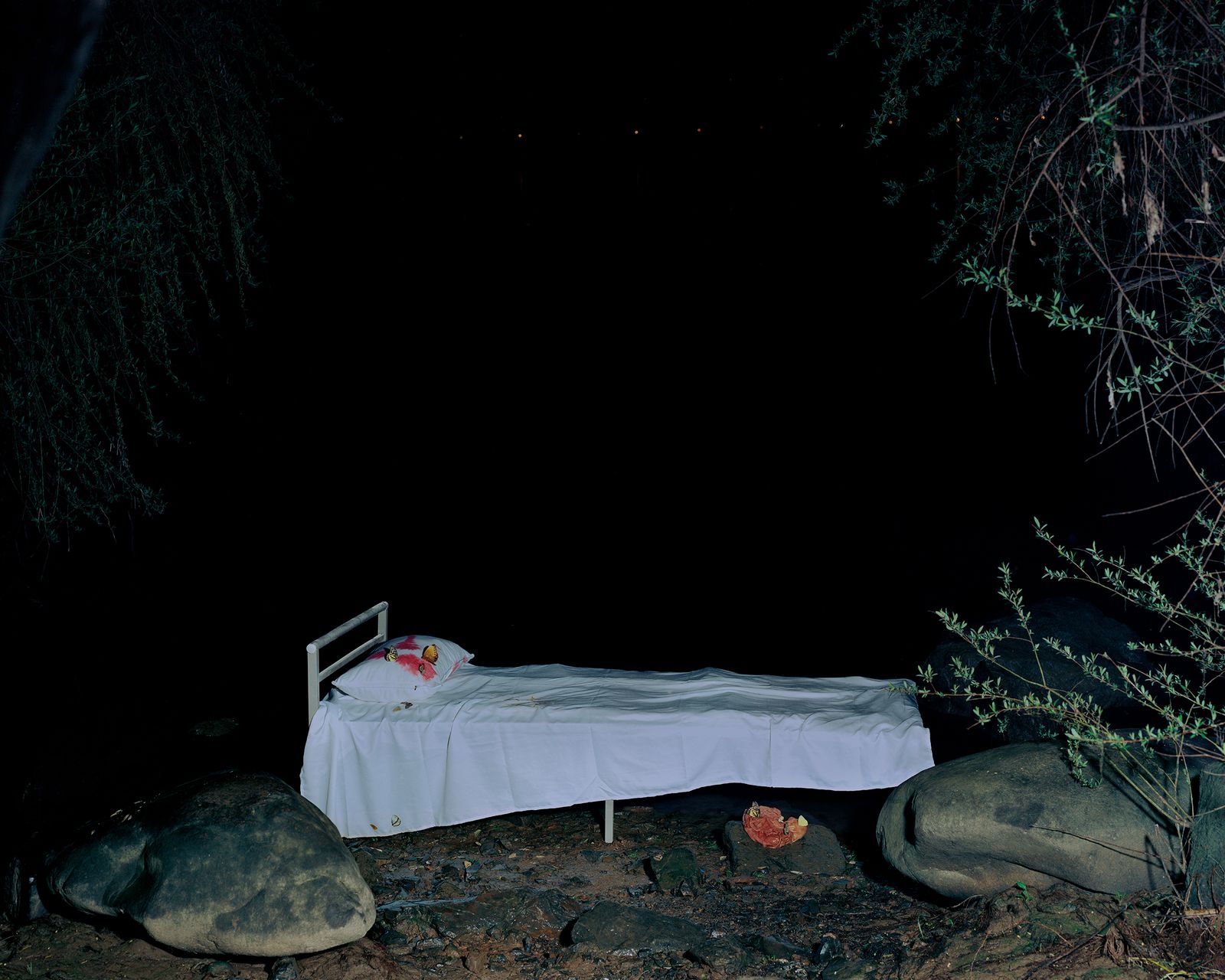© Bowei Yang - The aching bed by the river, Tommy and his painting, color darkroom print, 2021.