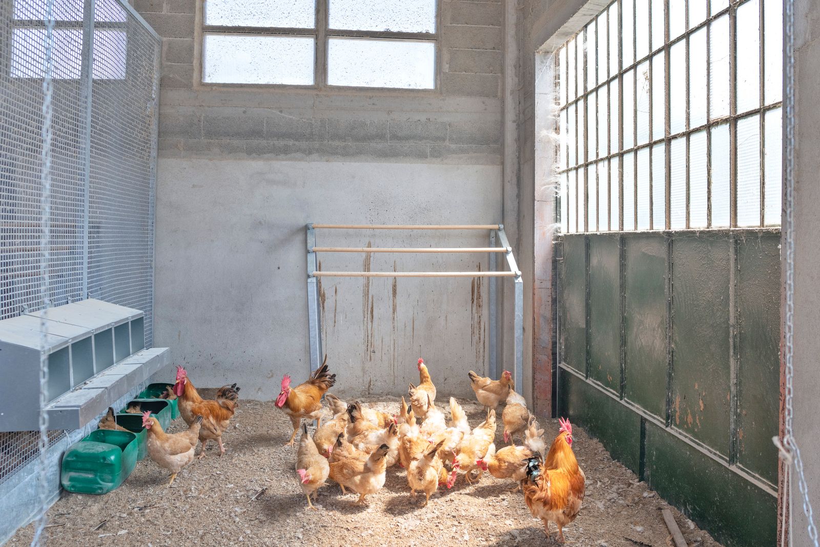 © Maurizio Di Pietro - Image from the ZERO HUNGER photography project