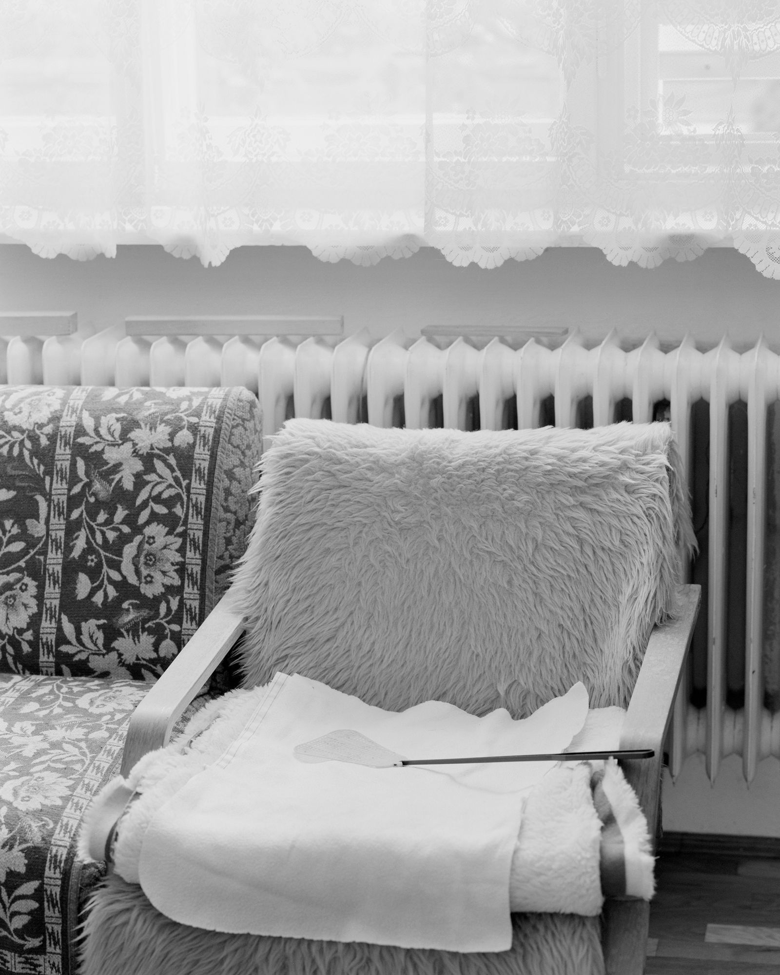 © Dominika Jackuliakova - Still life with a fly swatter. Tomášovce, 2024
