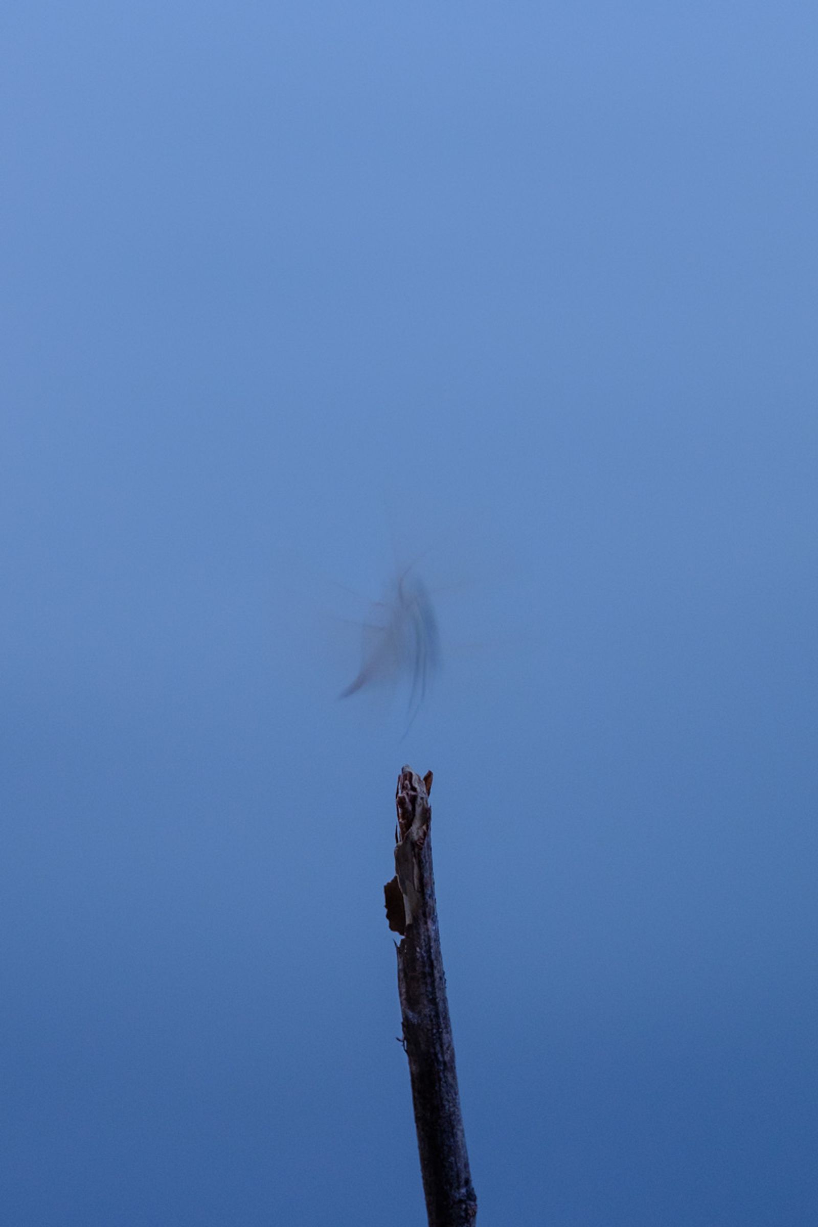 © Xuan-Phong Le - Image from the Familiar Landscapes photography project