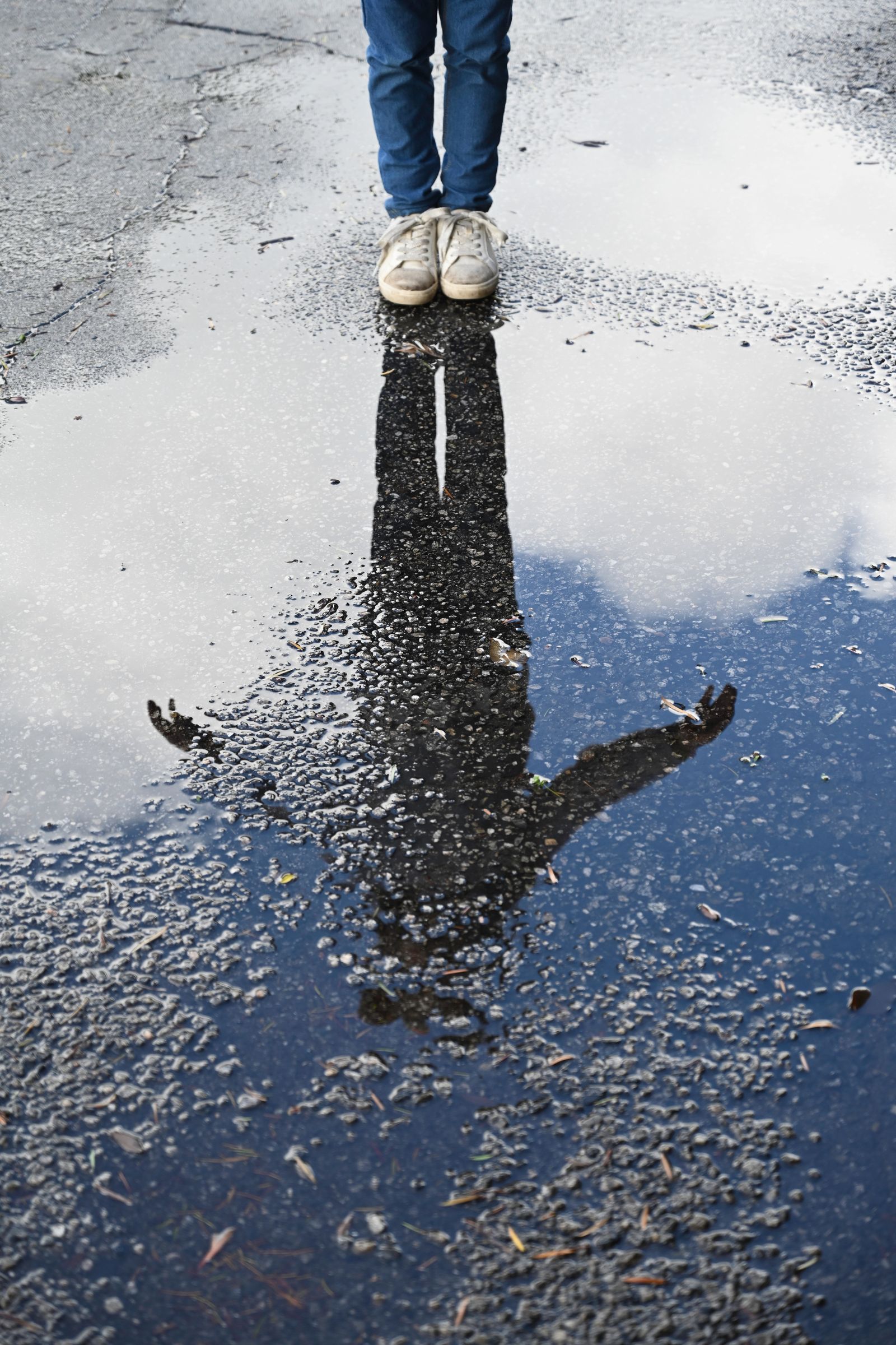 © Danelle Cole - Clouds in my puddle