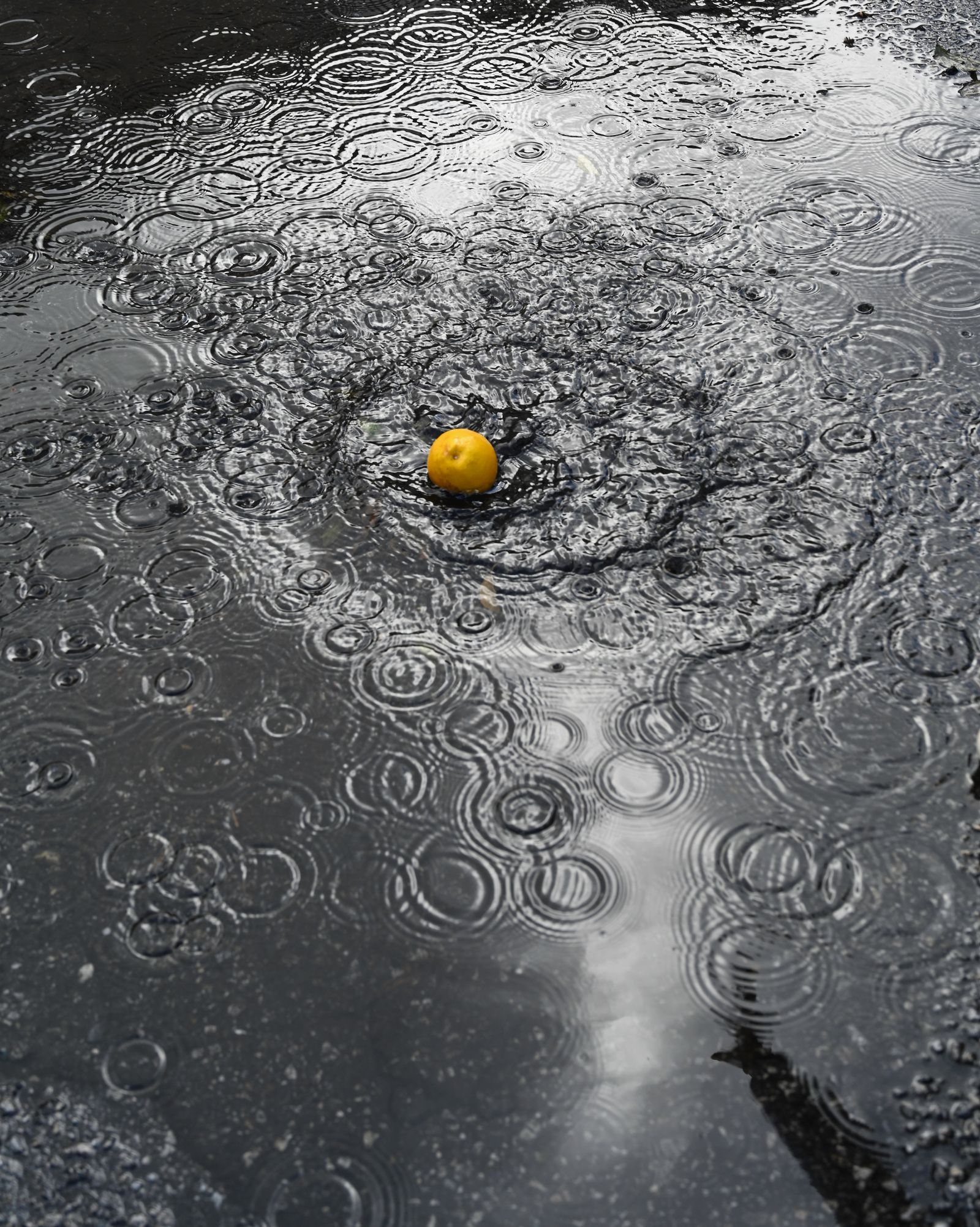 © Danelle Cole - Let’s throw a lemon into a puddle of water