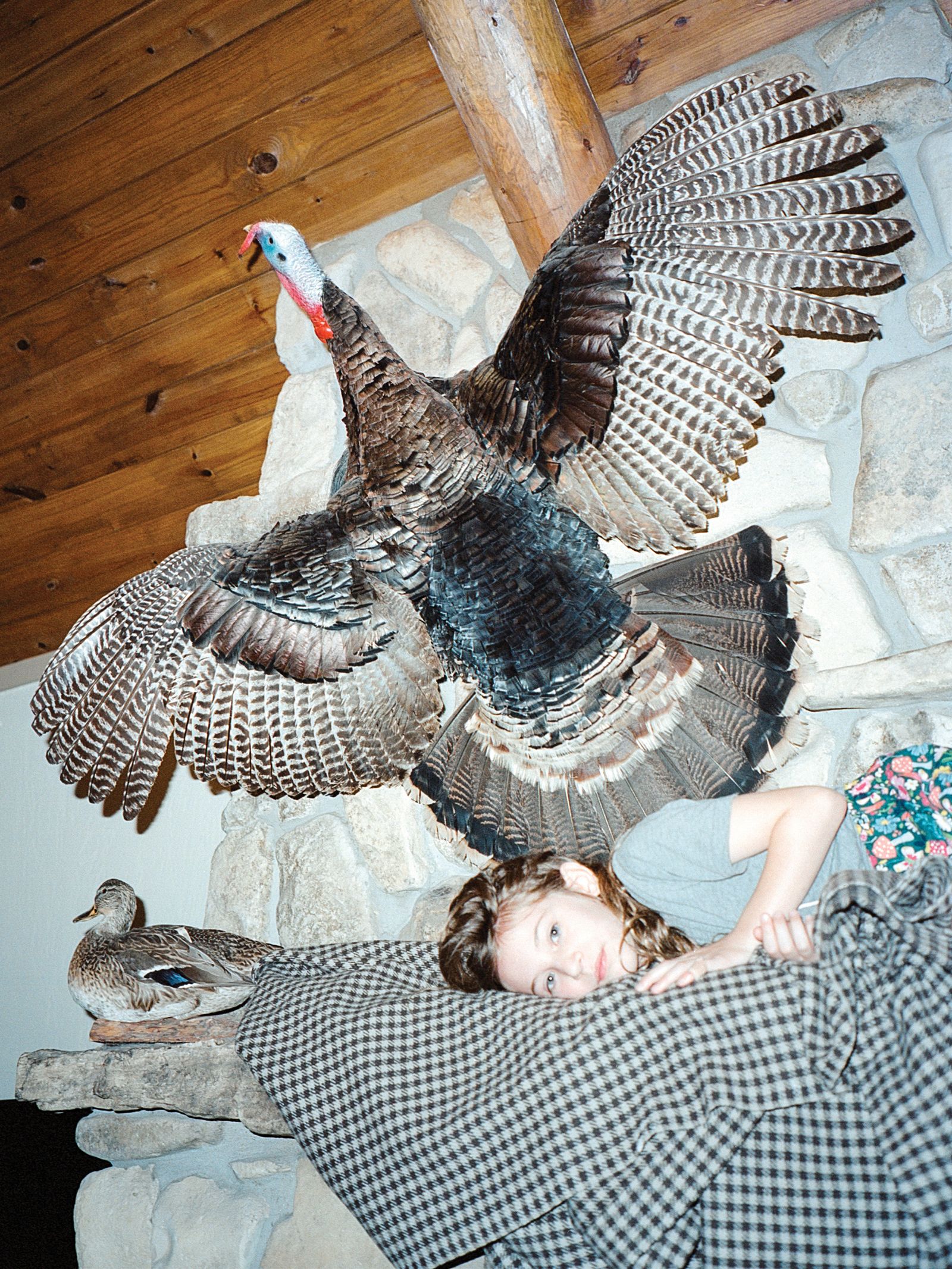 © Chloe Jones - Image from the Tiger's Blood photography project
