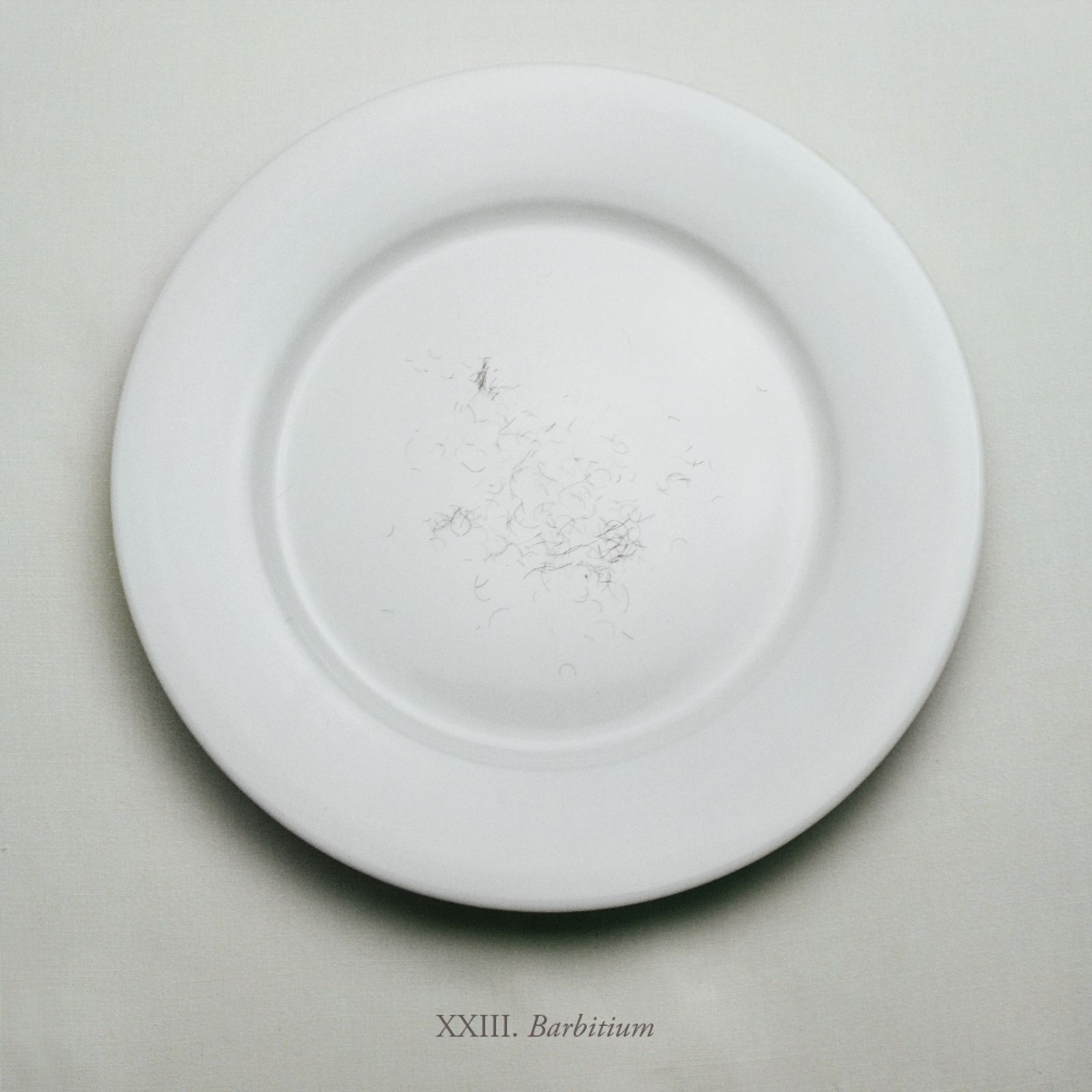 © Aline Smithson - Image from the The Embarrassment of Being Human photography project