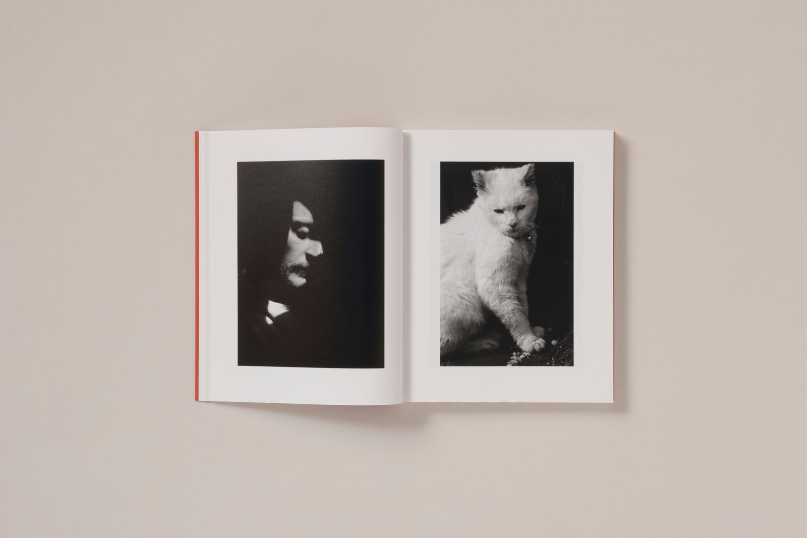 between the skin and sea by Katrin Koenning - PhMuseum