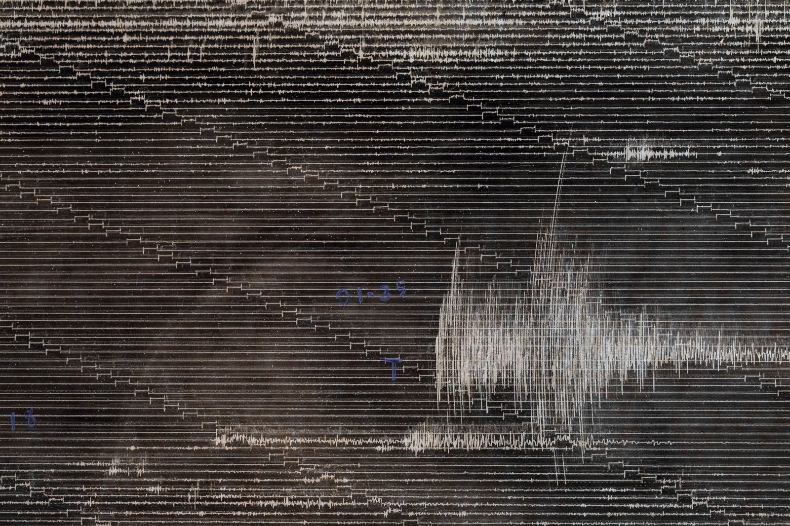 © Muriel Hasbun - Pulse: Seismic Register 2020.02.27.035 (1986), 2020