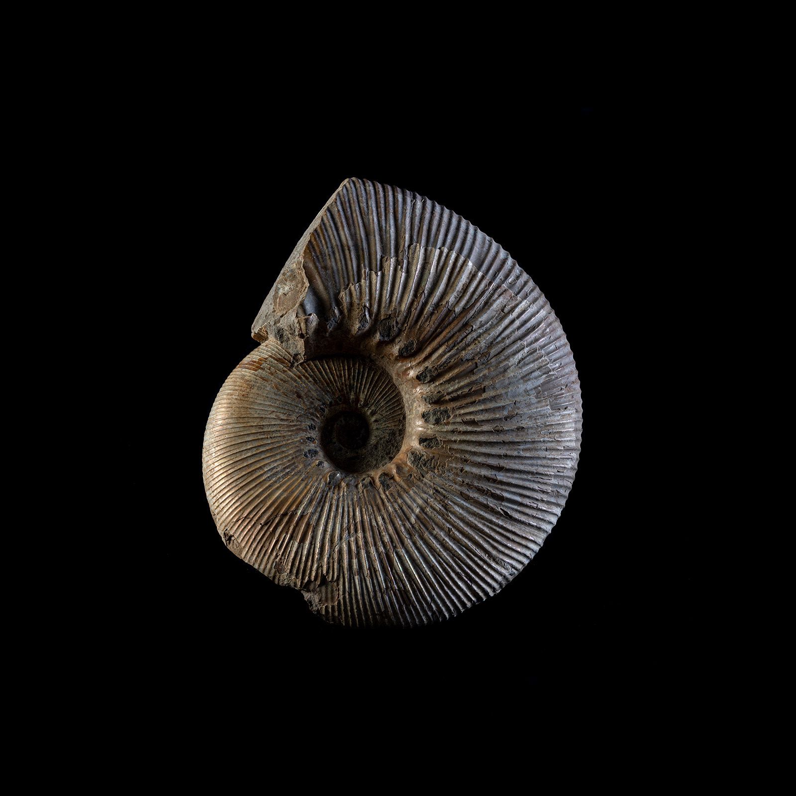 © Marcos Goymil - Image from the Antartic Museum photography project