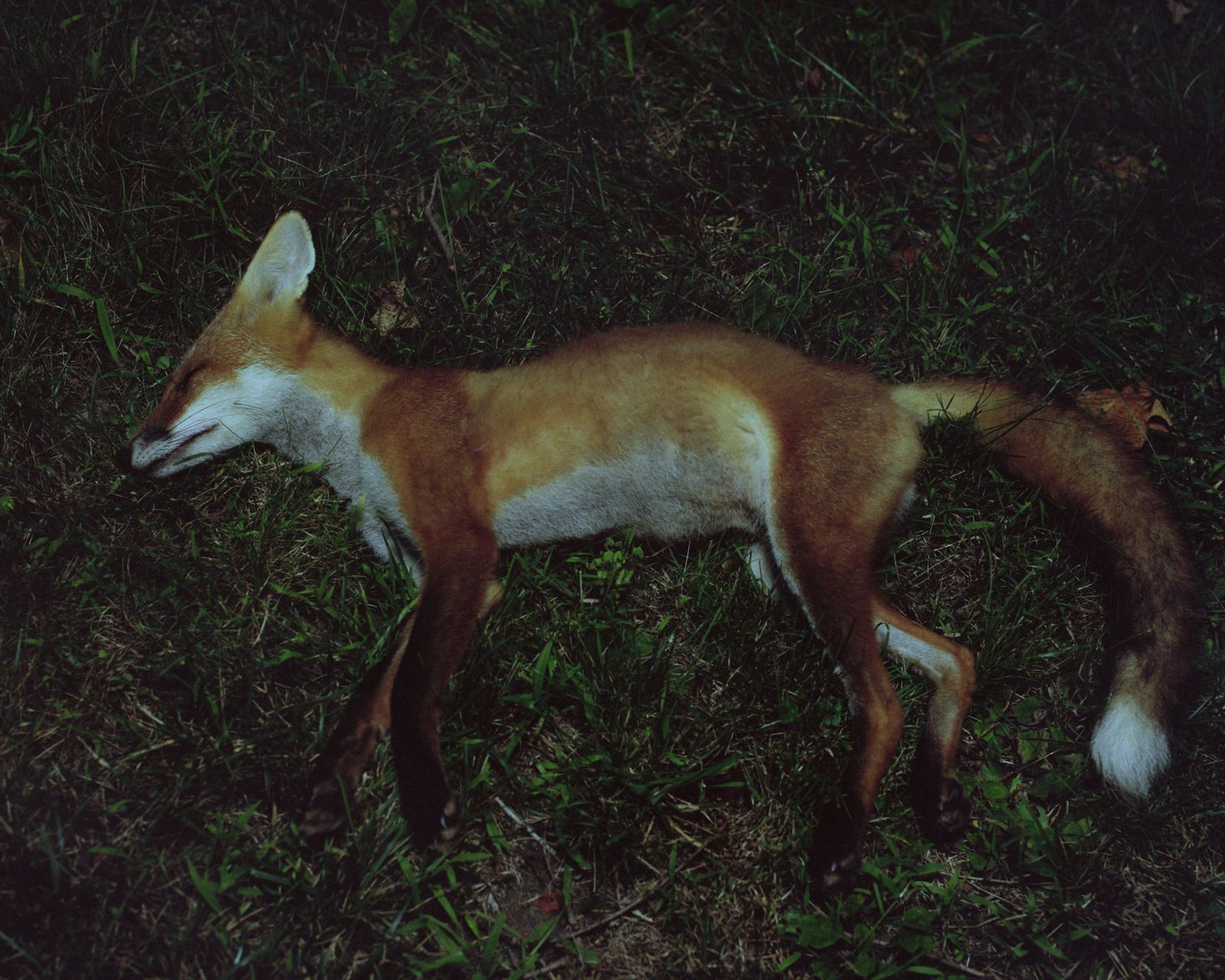© jiatong lu - Image from the The Secret Place With Nowhere To Hide photography project