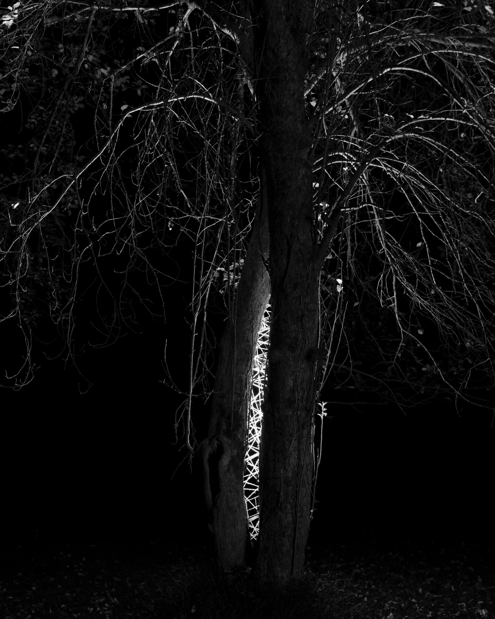© jiatong lu - Image from the The Secret Place With Nowhere To Hide photography project