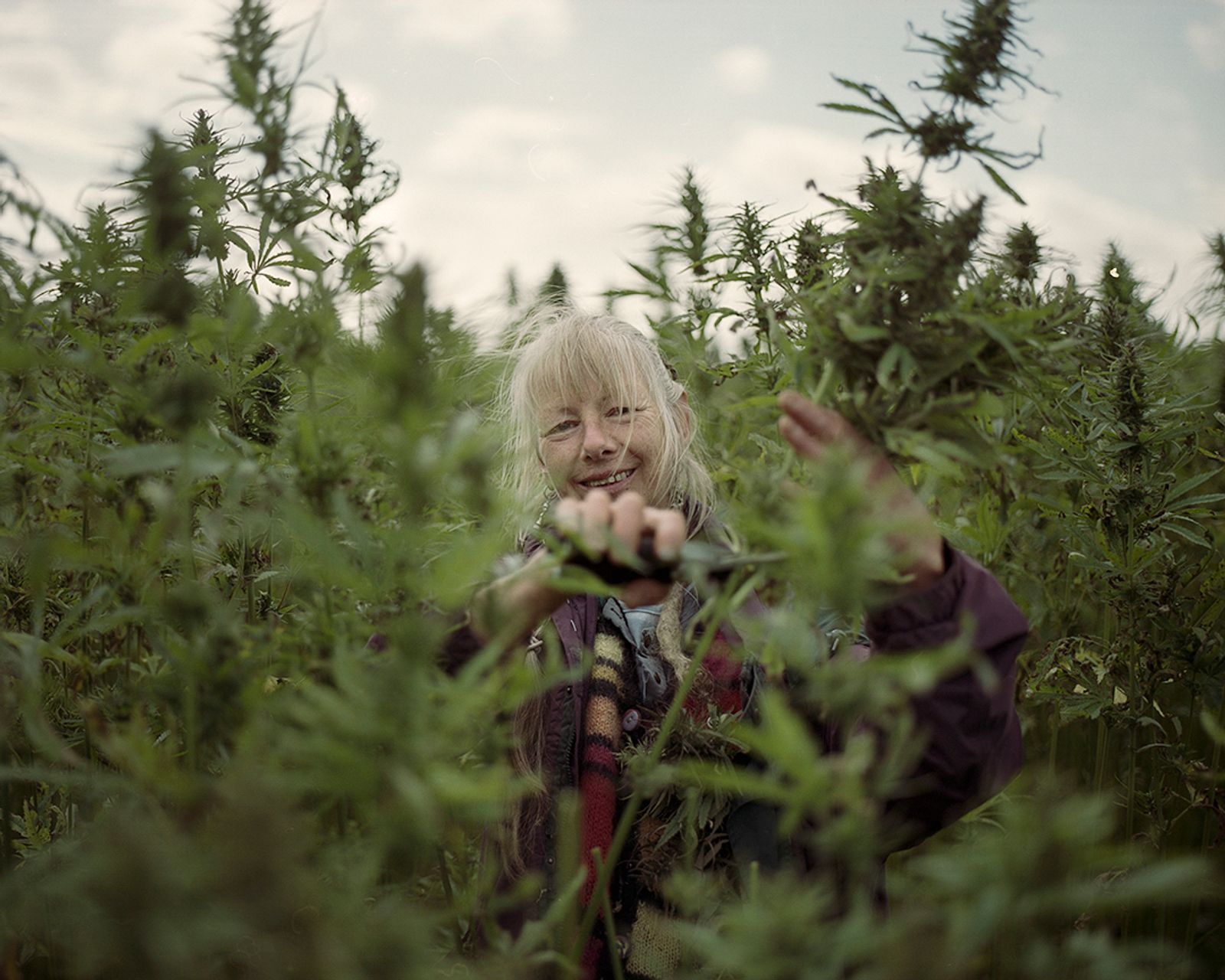 © Ksenia Burnasheva - Hand_harvest_volunteer