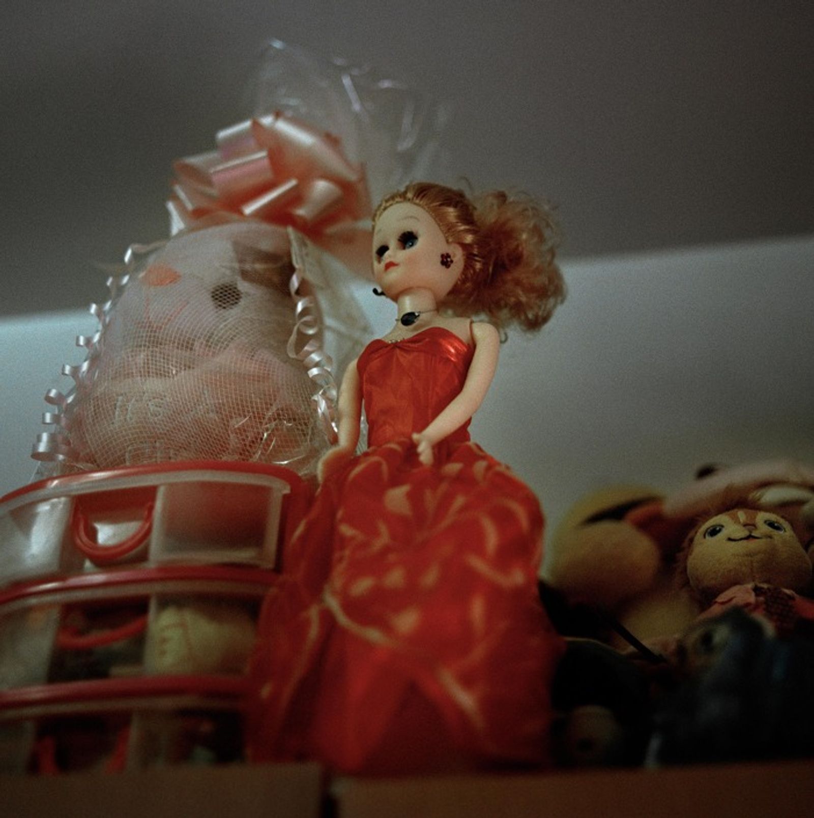 © Ruth Prieto - A barbie doll stands on the shelve.