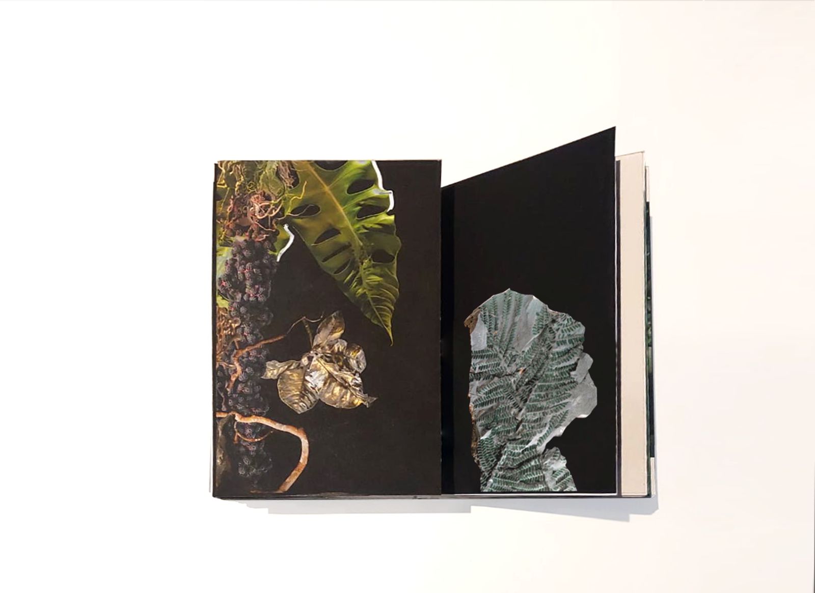 © Claudia Jaguaribe - Image from the Vivarium photography project