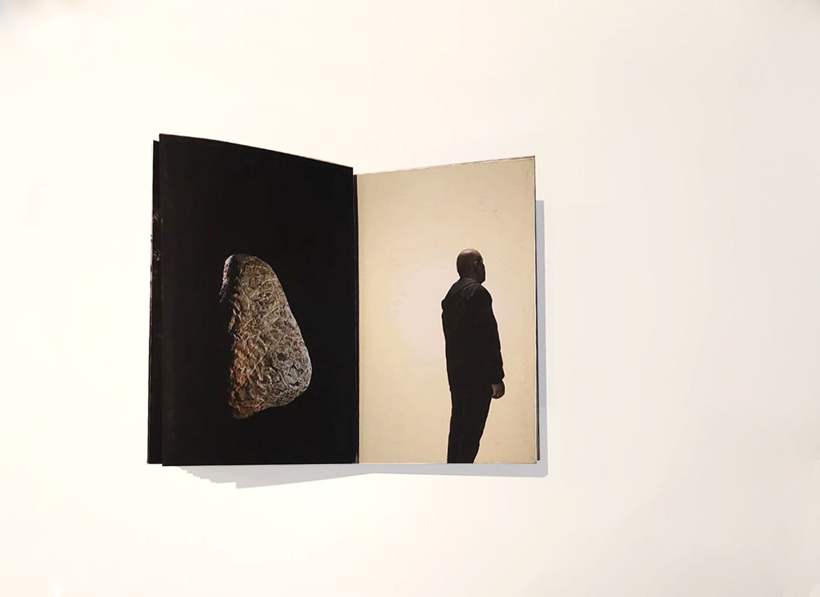 © Claudia Jaguaribe - Image from the Vivarium photography project