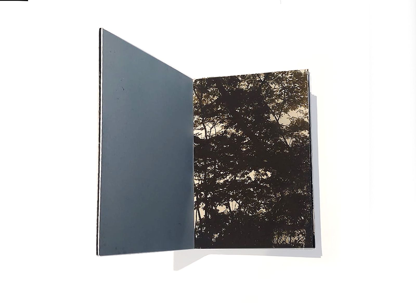© Claudia Jaguaribe - Image from the Vivarium photography project