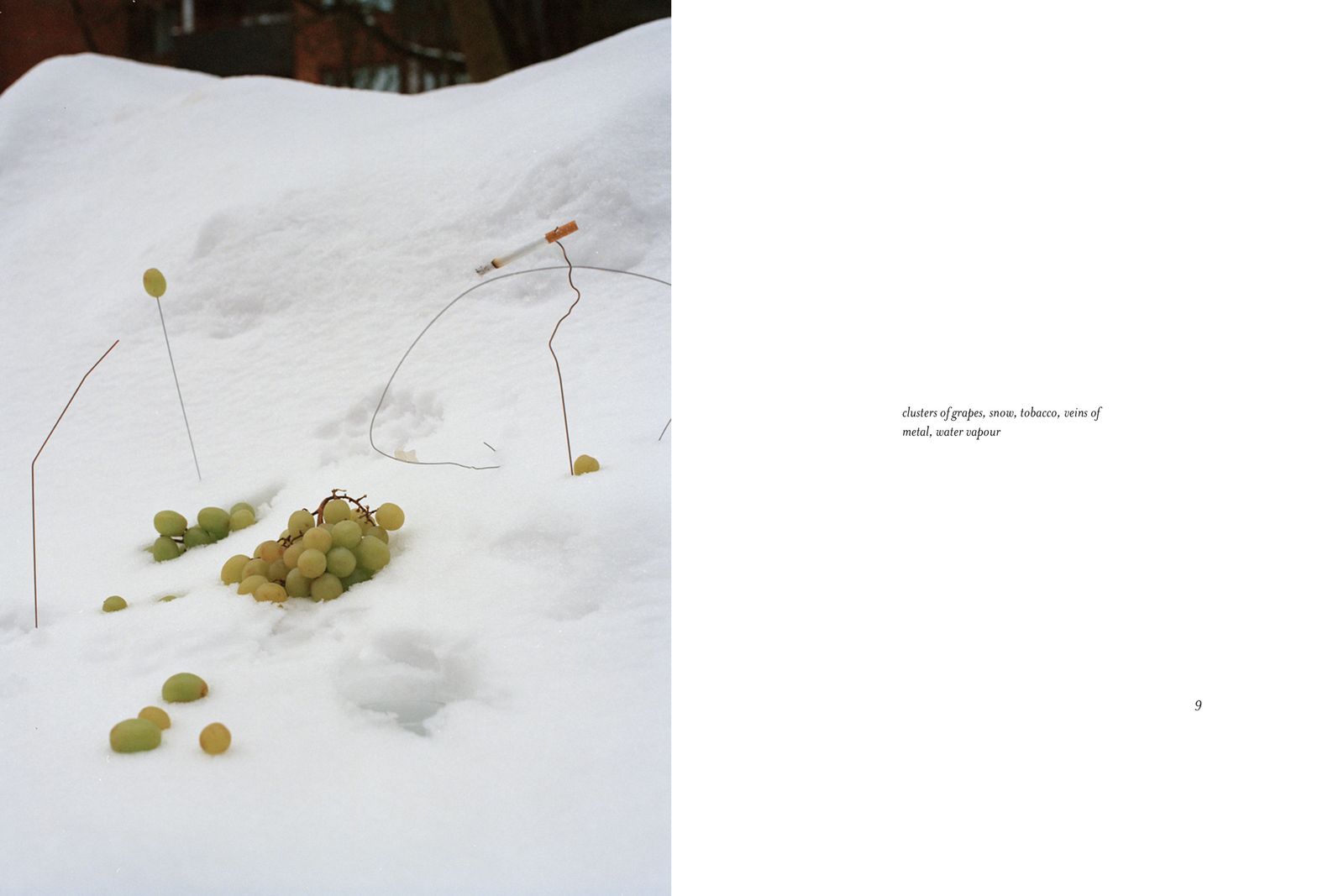 © Sheung Yiu - clusters of grapes, snow, tobacoo, veins of metal, water vapour