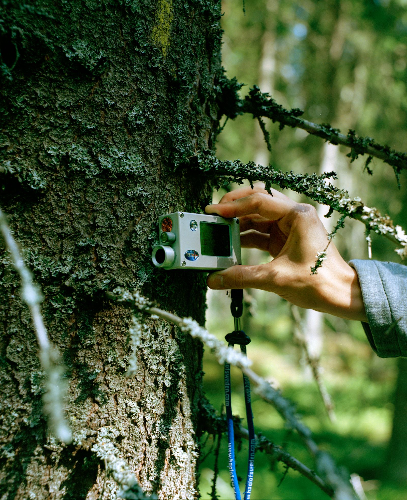 © Sheung Yiu - A researcher measuring the height of a tree.