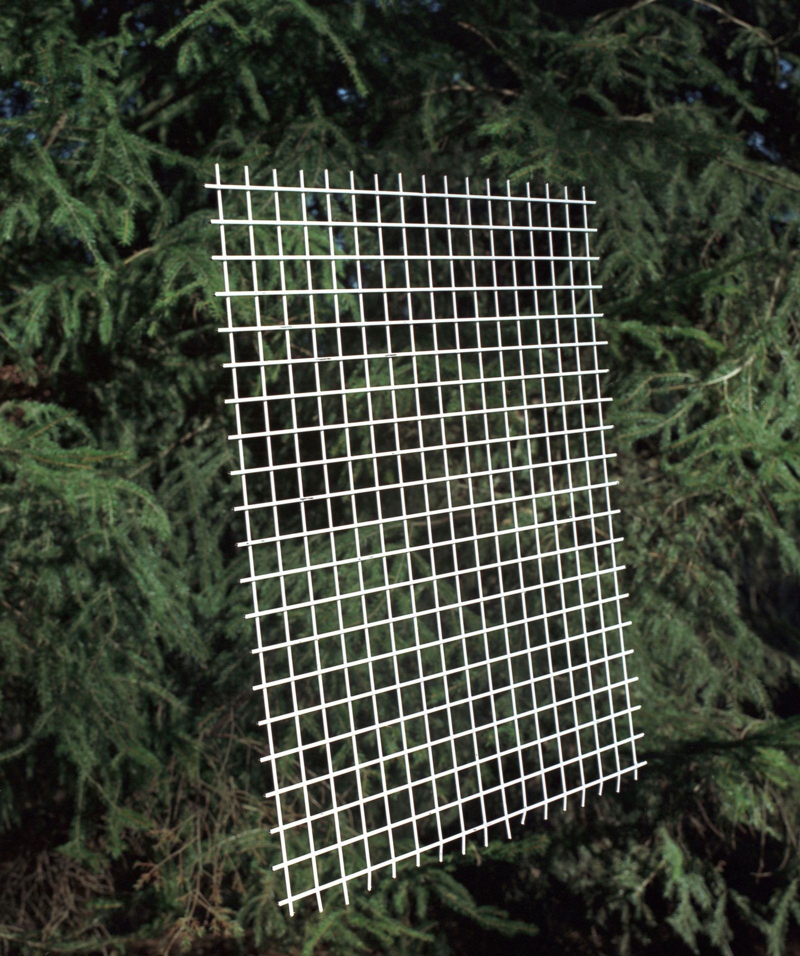 © Sheung Yiu - A metal grid photographed in front of a shrub