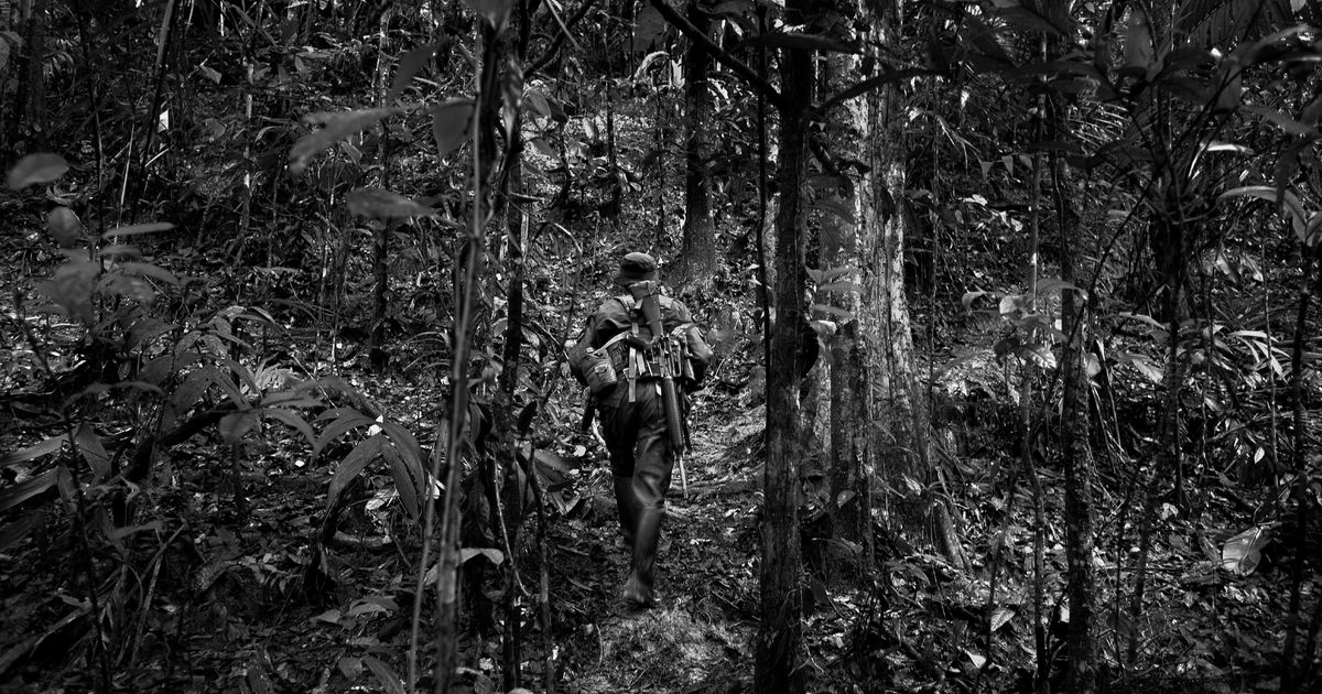 Wounded Land. PhMuseum